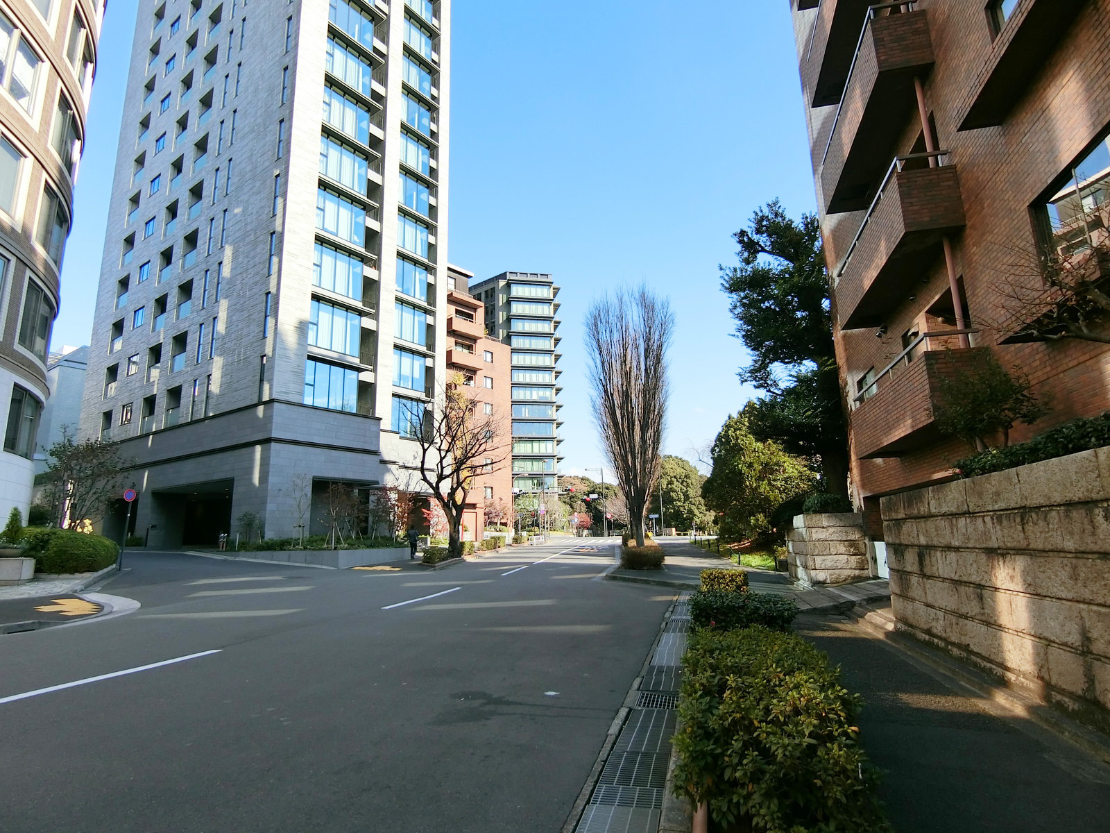 パークサイドハウス前面の通り
