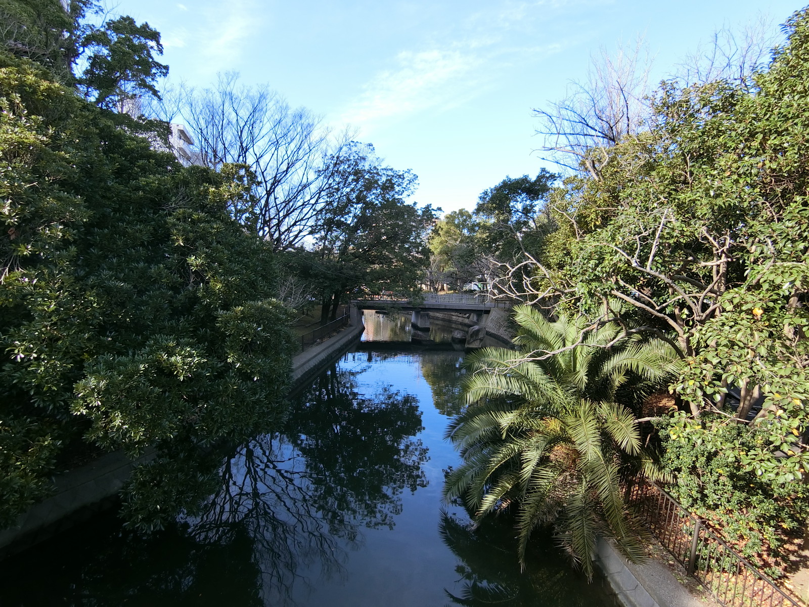 隣の仙台堀川
