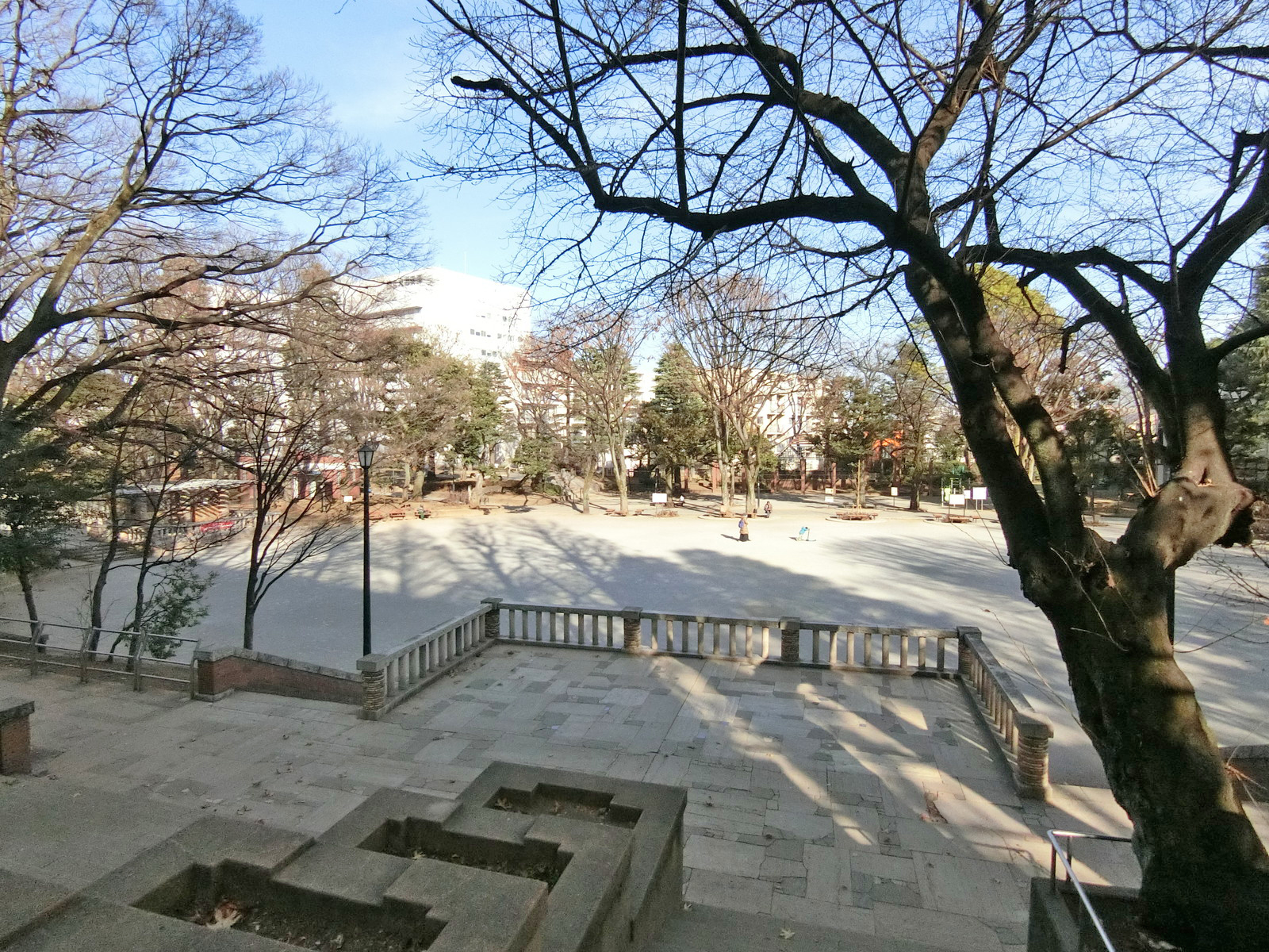向かいの通りの大塚公園