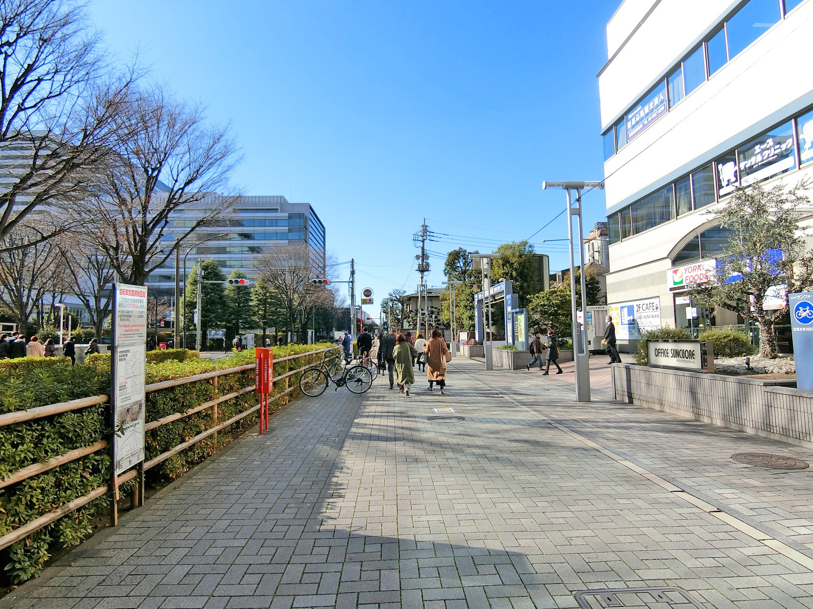 ビリーフ中野前面の通り
