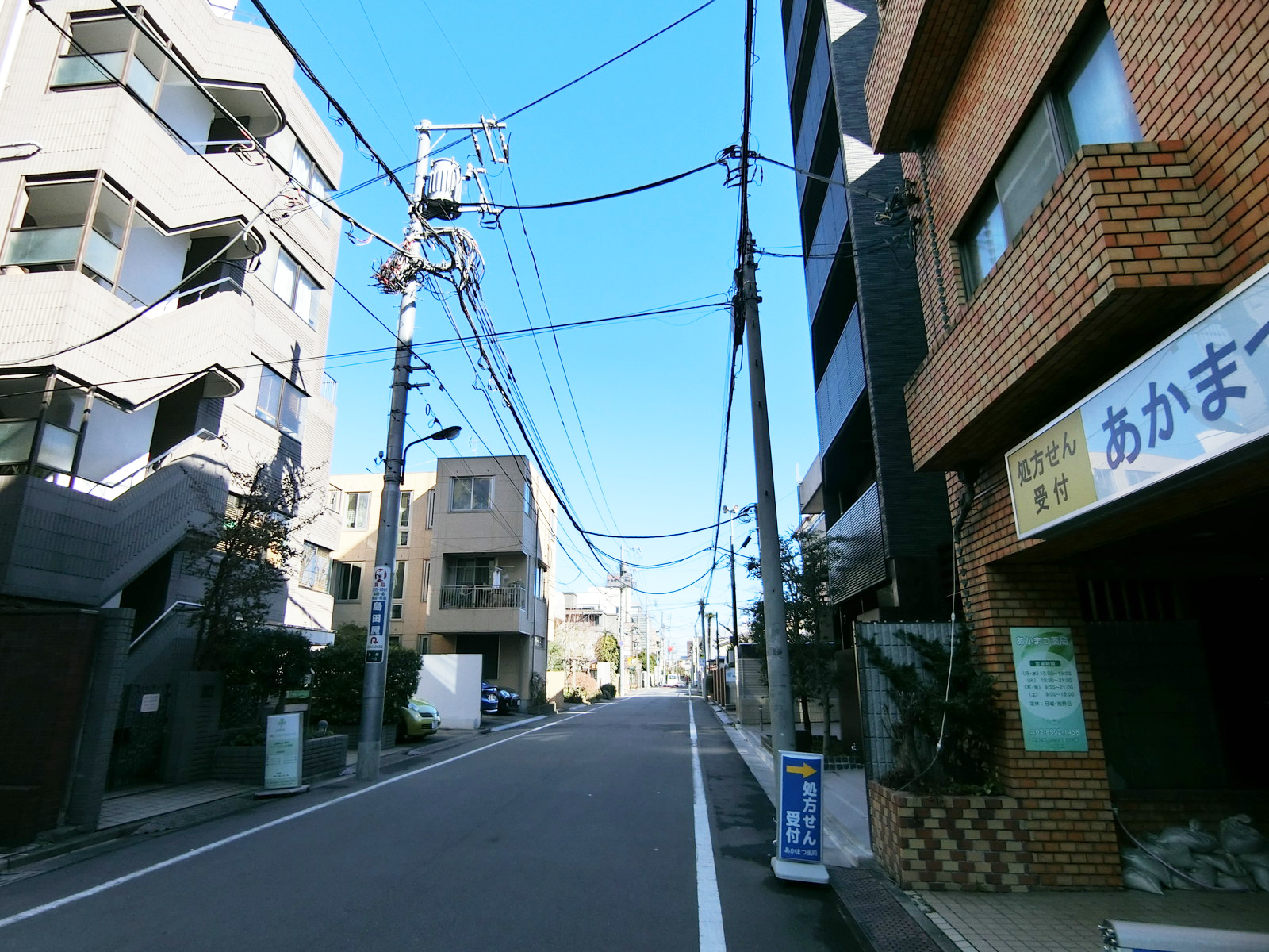 アドニスアマノ前面の通り