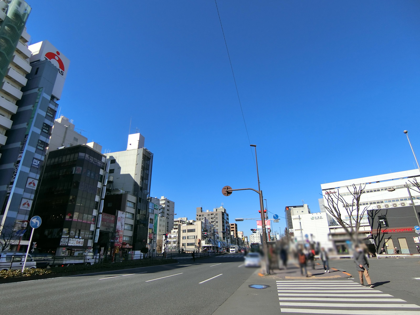 付近の白山通り