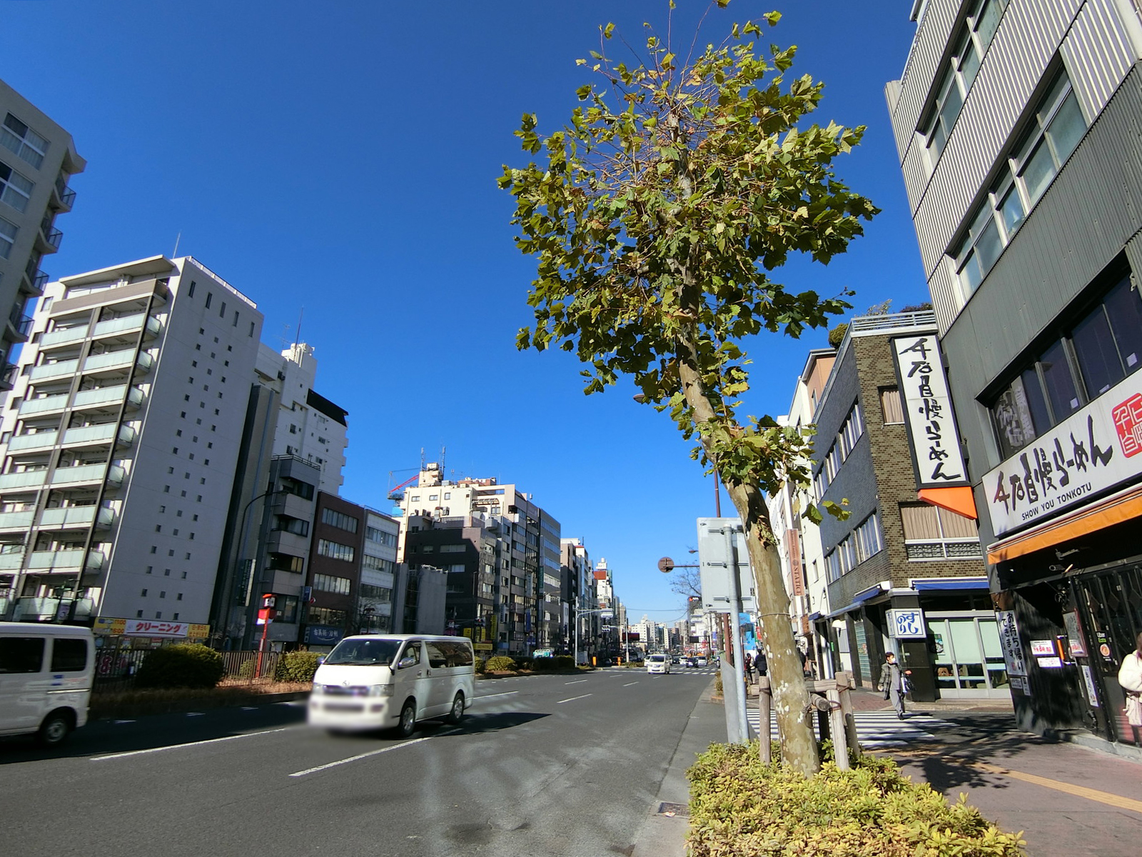 ビューネ本駒込ビル前面の白山通り