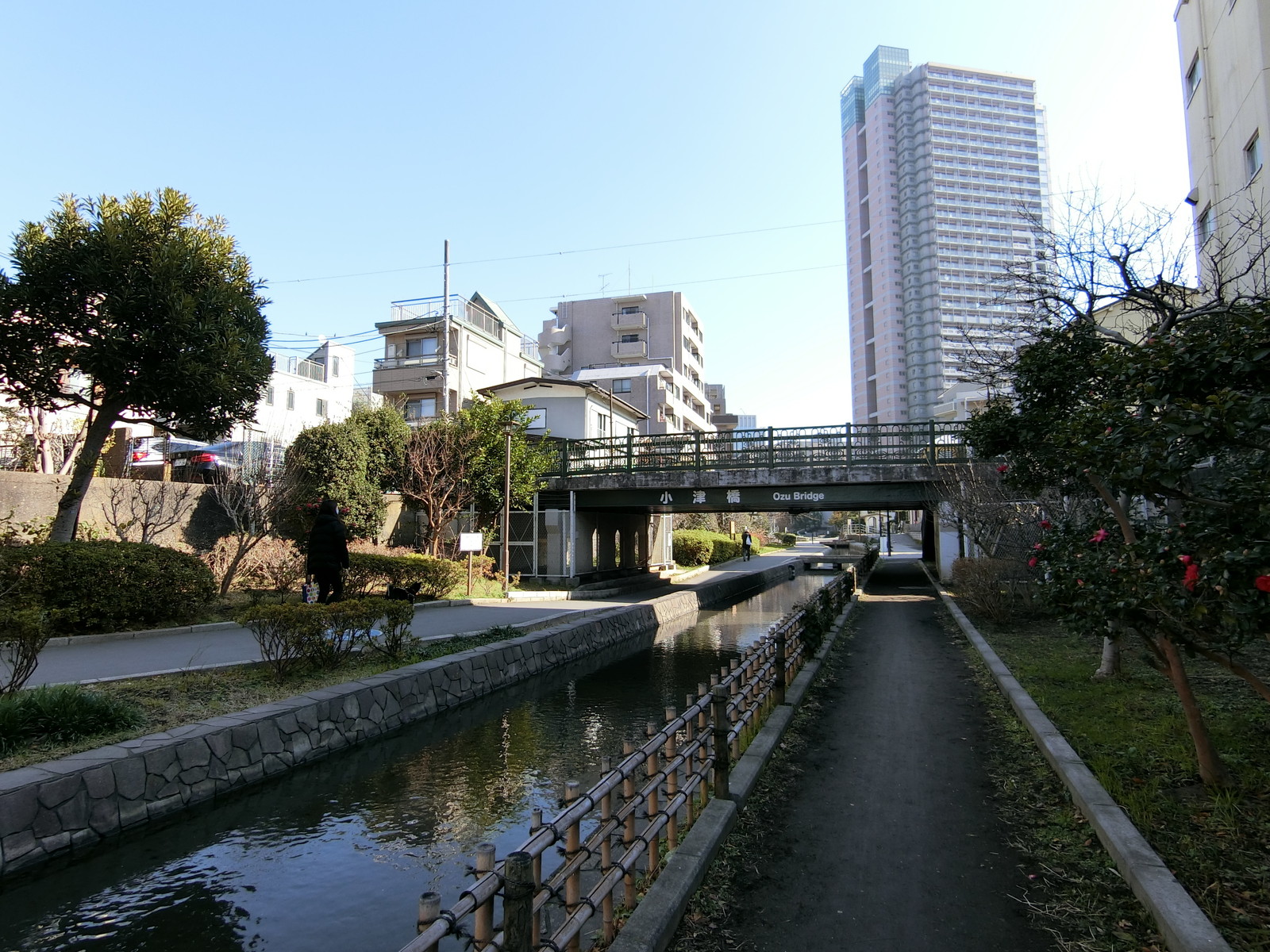 付近の古石場川親水公園