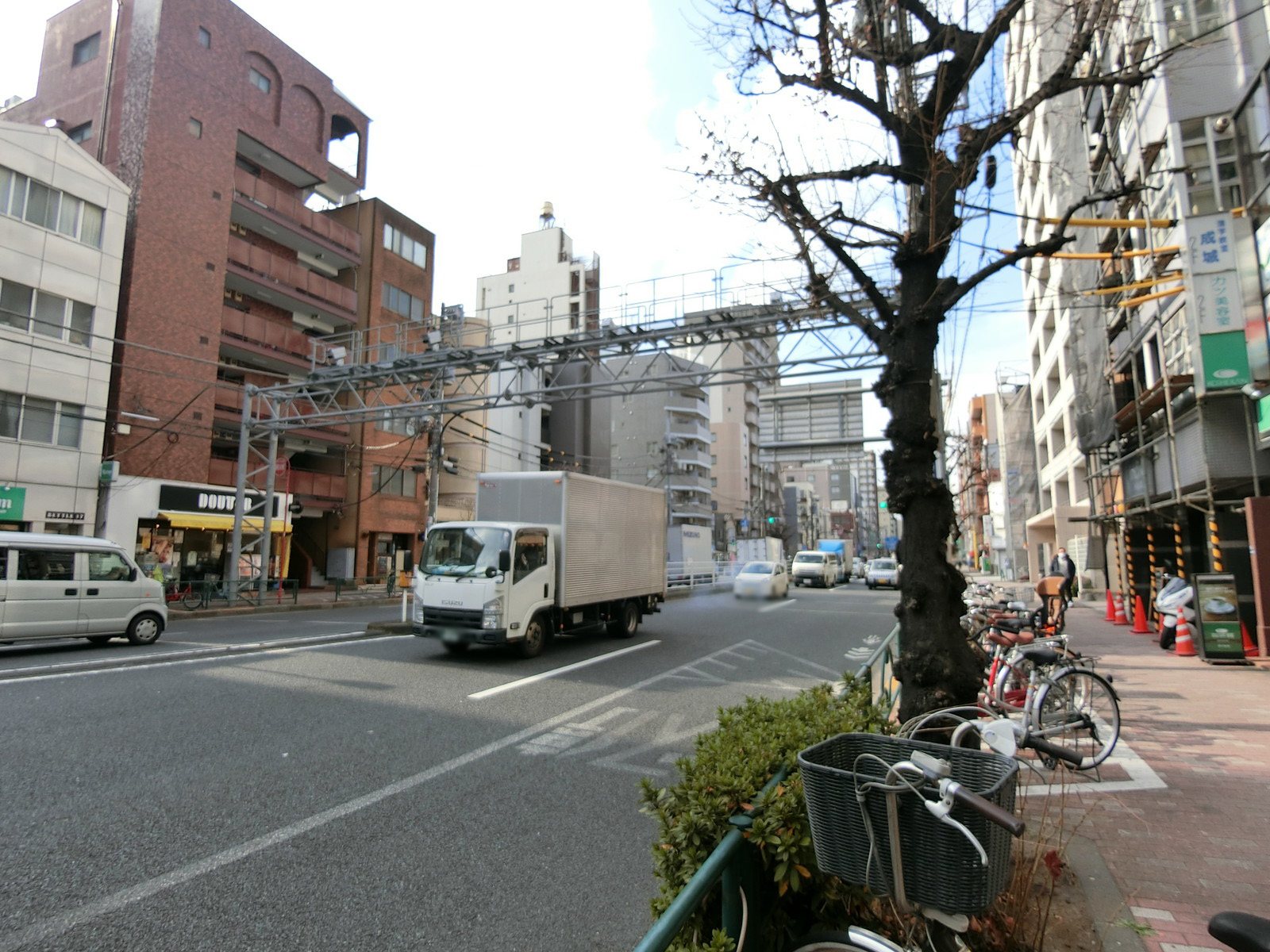 マーベラス菊川前面の新大橋通り