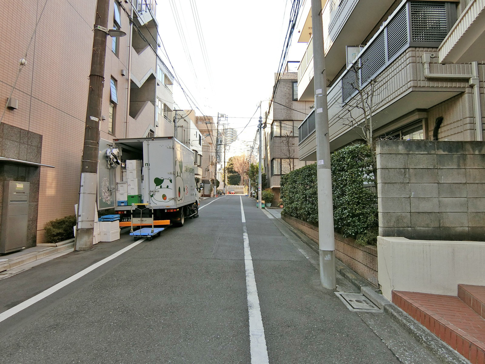 グランドシャトレフェニックス小石川前面の通り