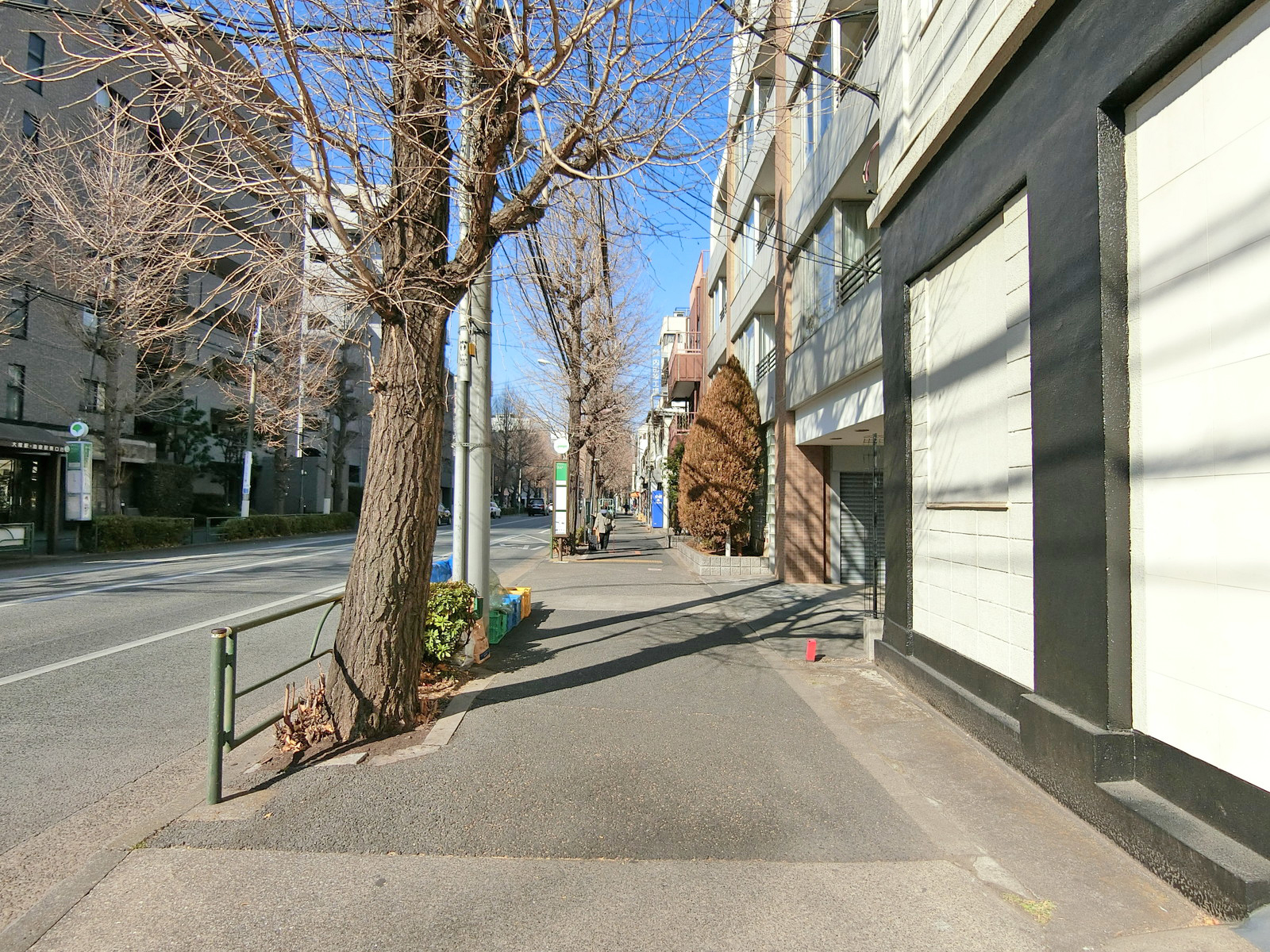 桜井ビル前面の通り