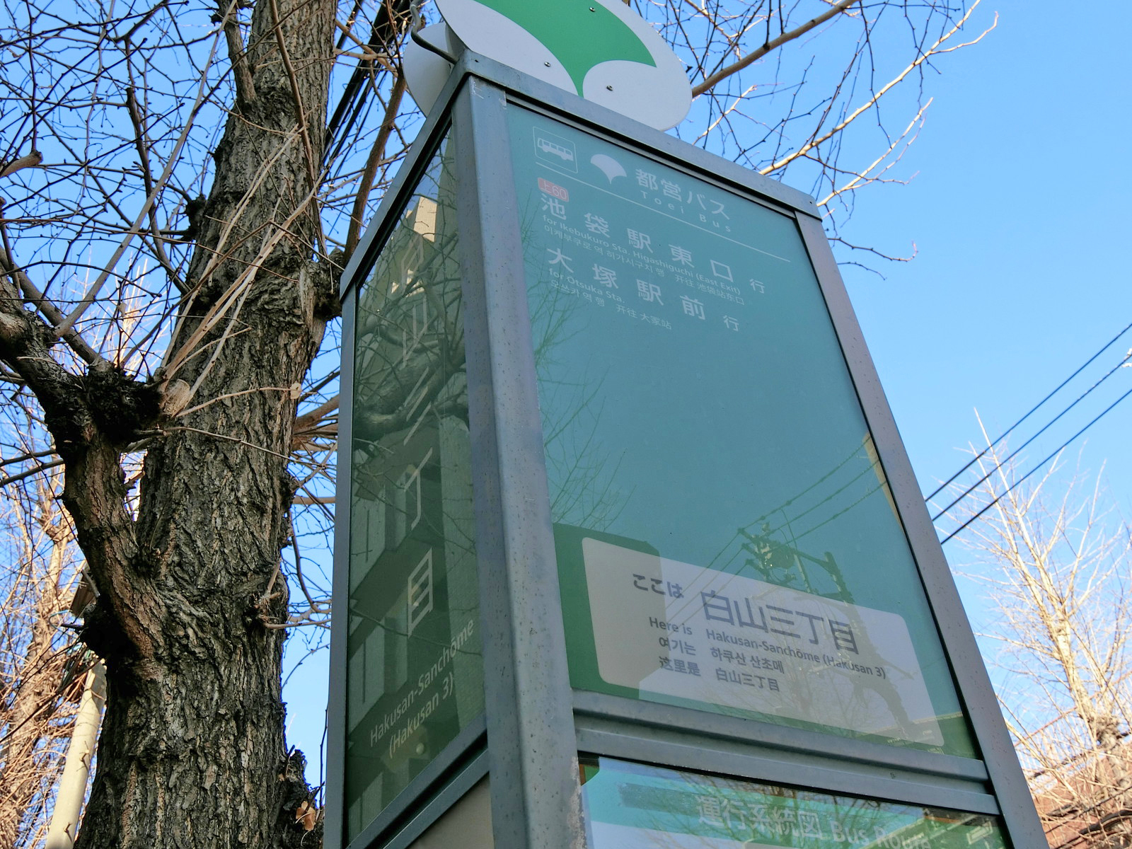 近くのバス停