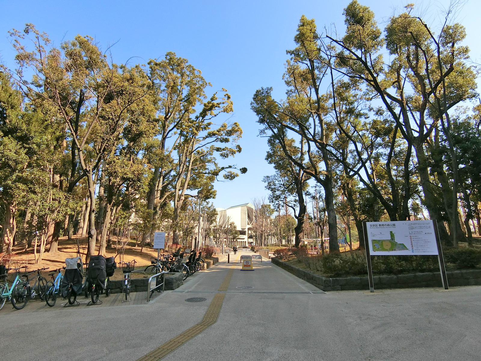 近くの教育の森公園