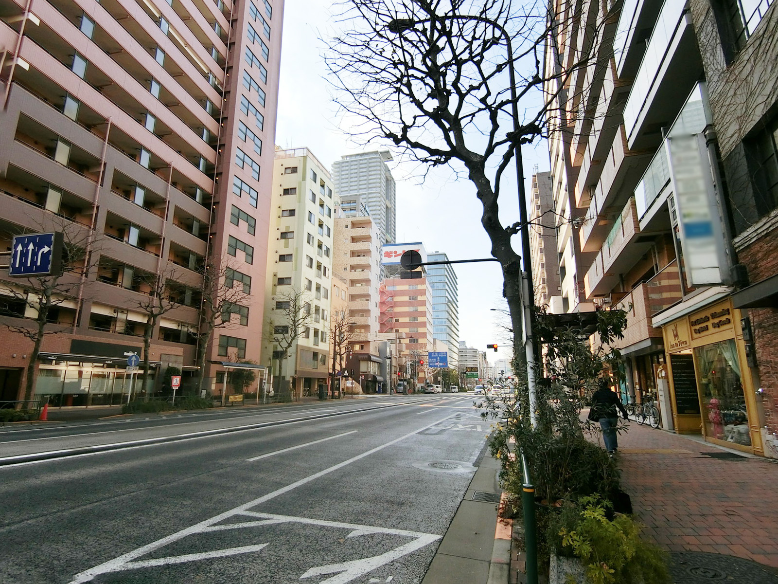 近くの新大橋通り