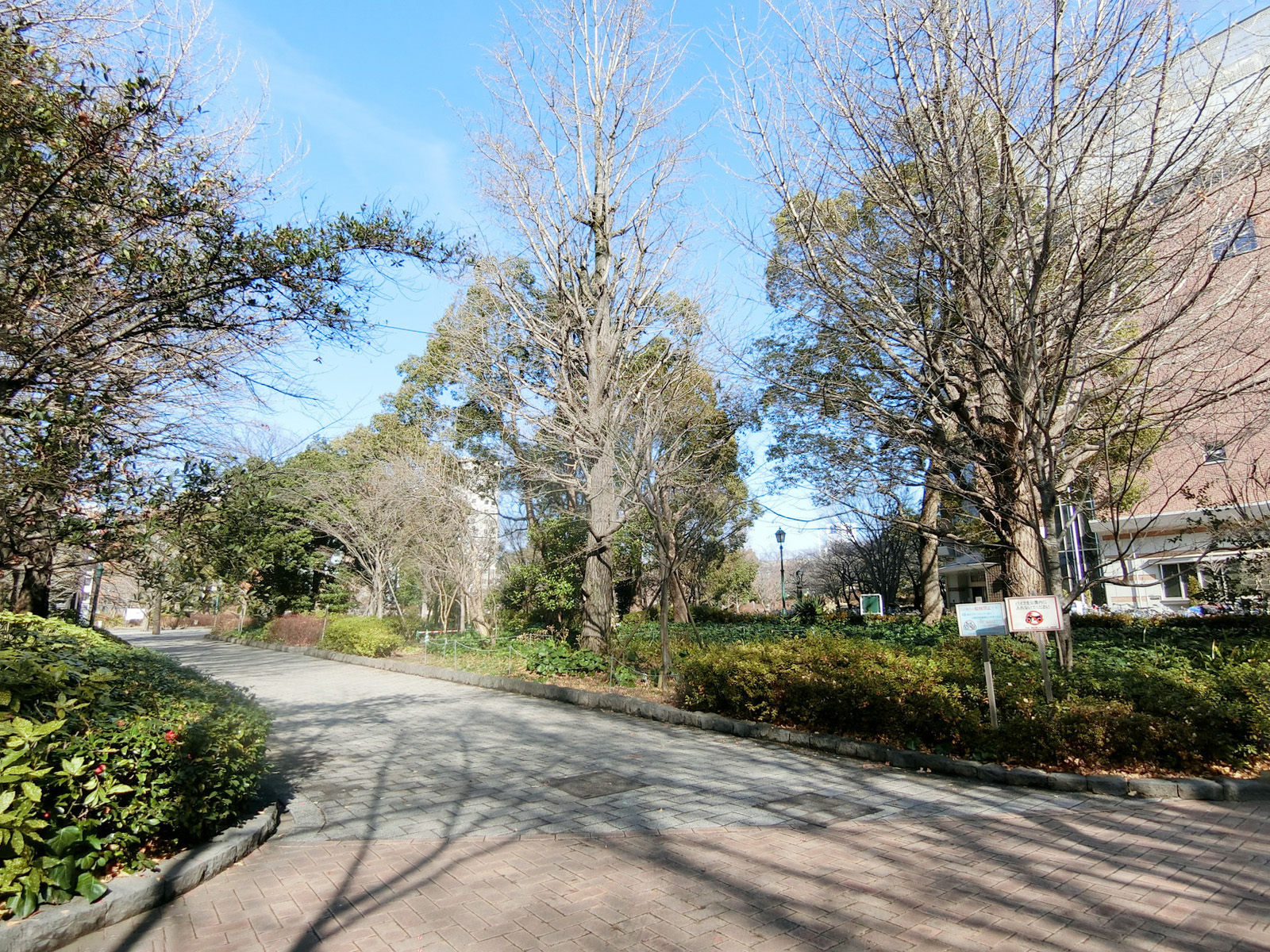付近の浜町公園