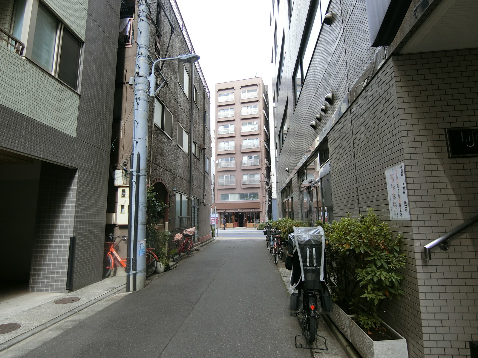 ライフコア蔵前前面の通り
