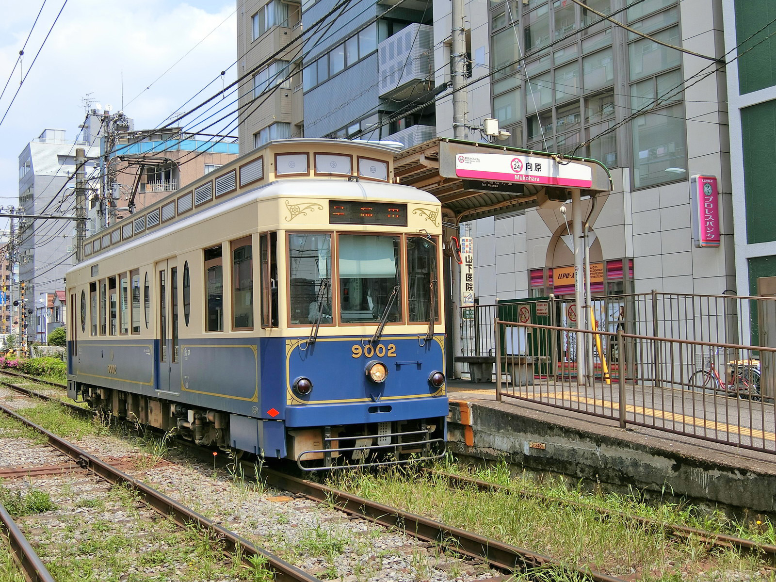 最寄りの｢向原駅｣