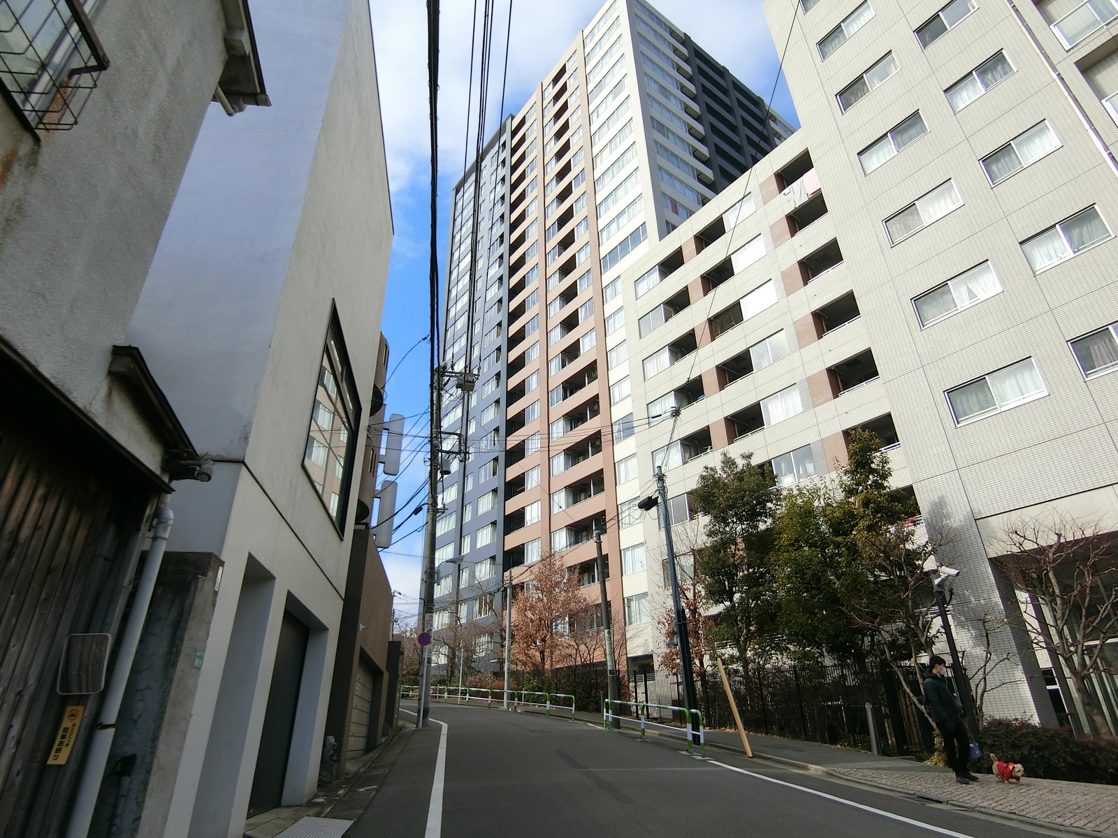 ヨウコースクウェア上池袋前面の通り