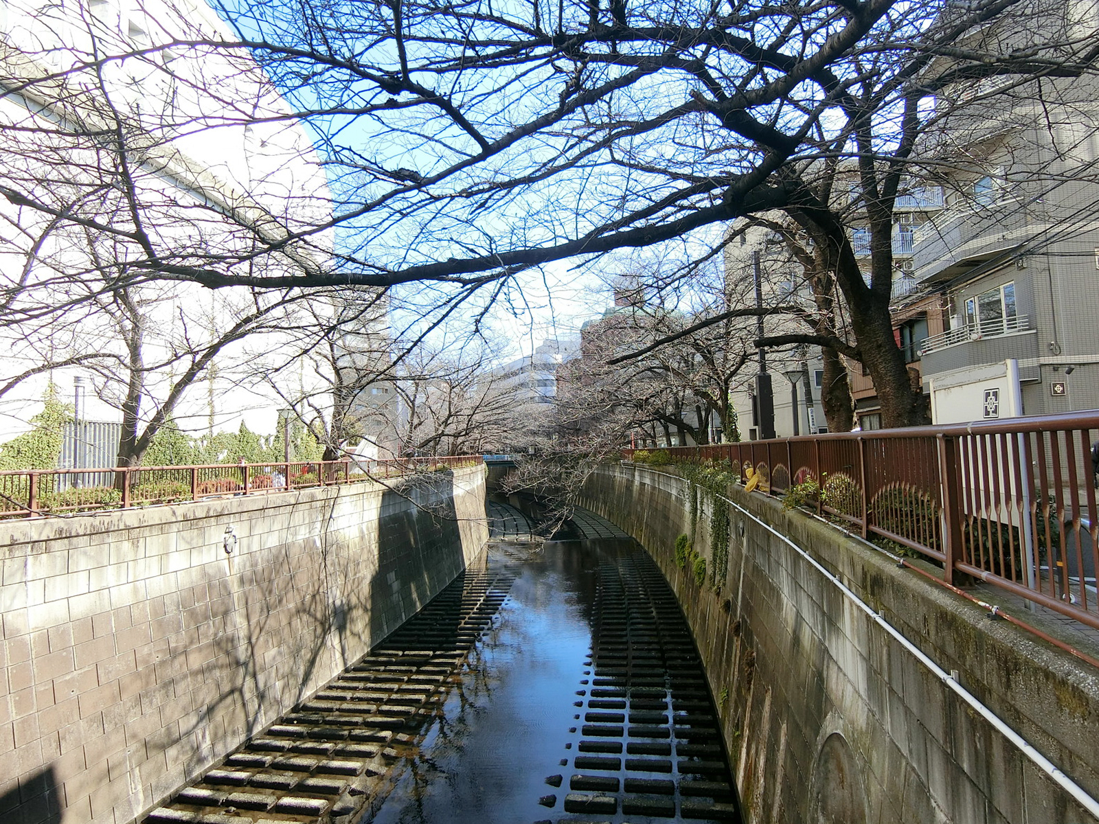 目の前には目黒川