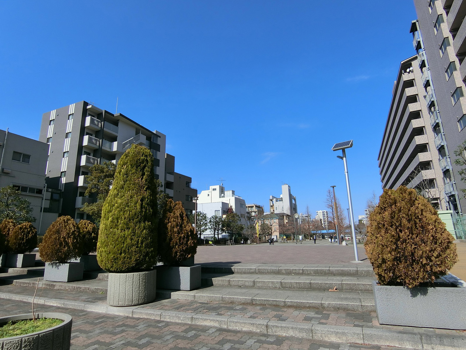 付近の大横川親水公園