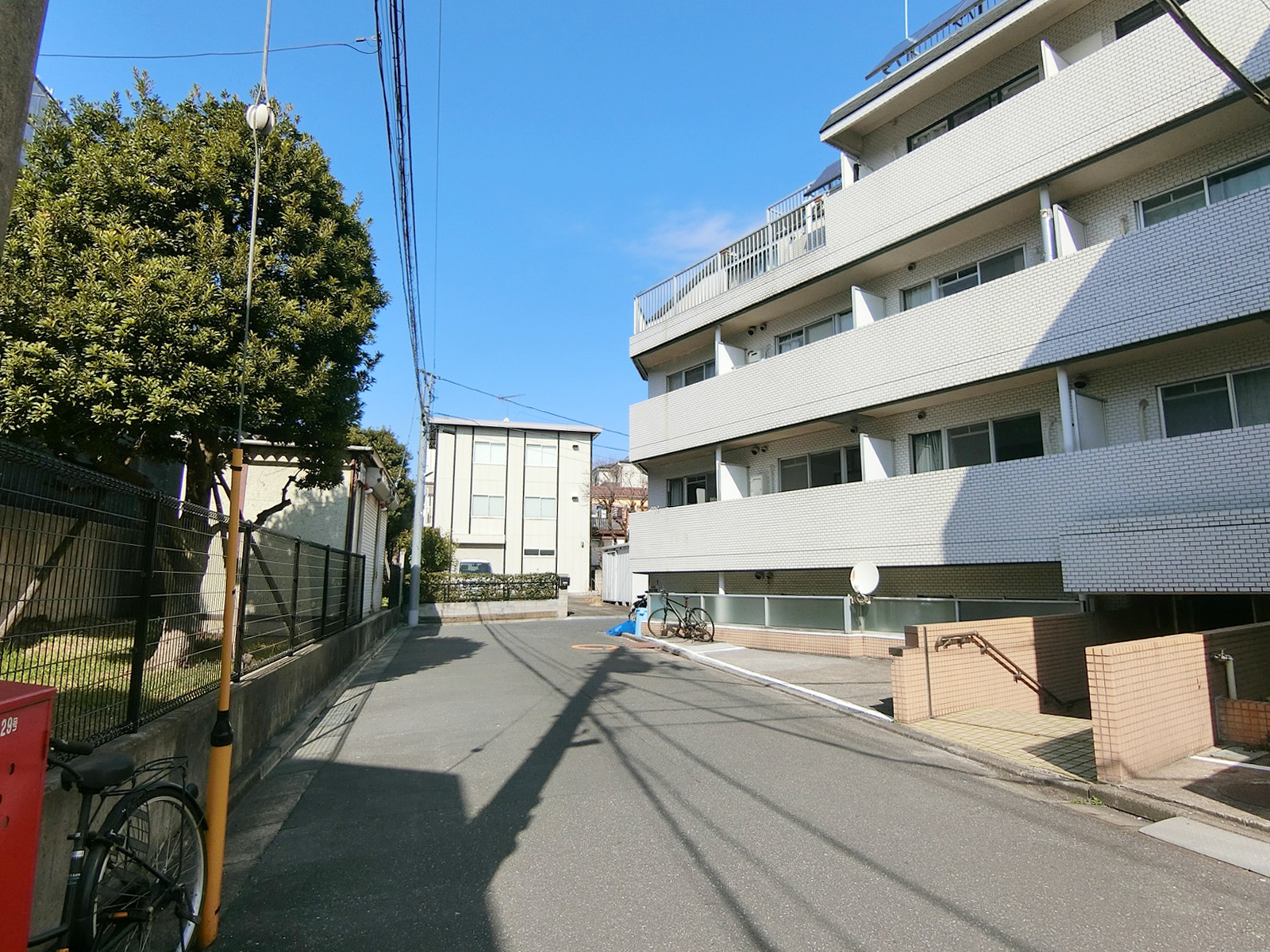 シャトレエビサワ前面の通り