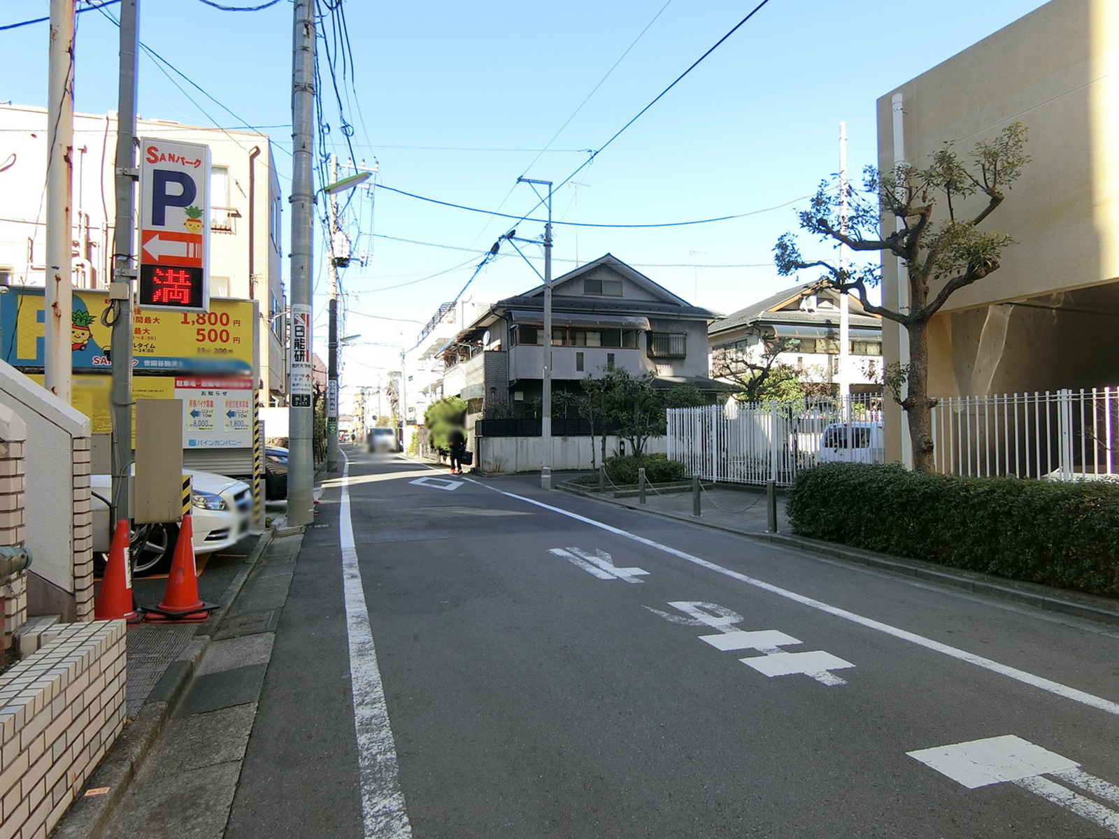 駒沢フォーラムガーデン前面の通り