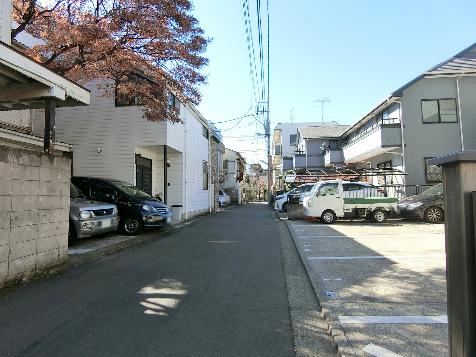 駒沢DSビル前面の通り