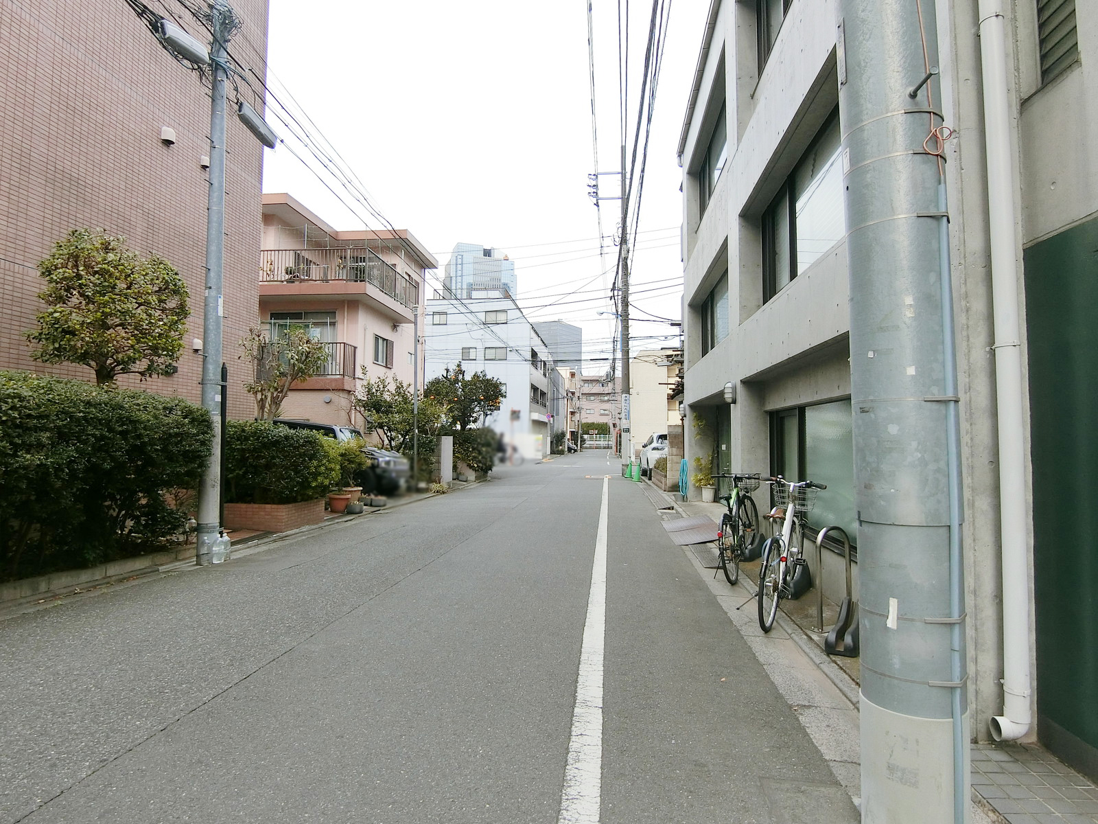 フォレスト2前面の通り