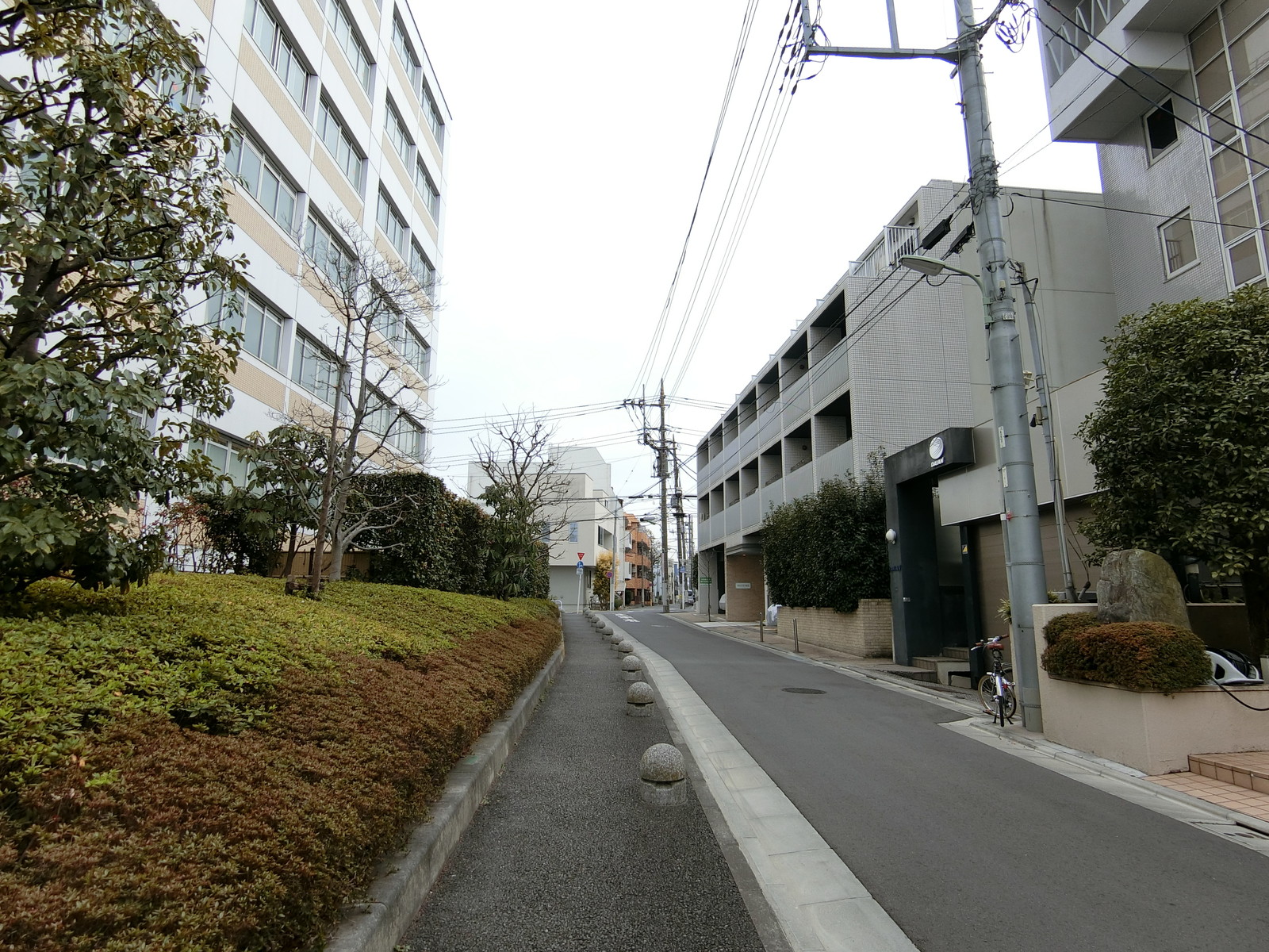 オフィス前面の通り