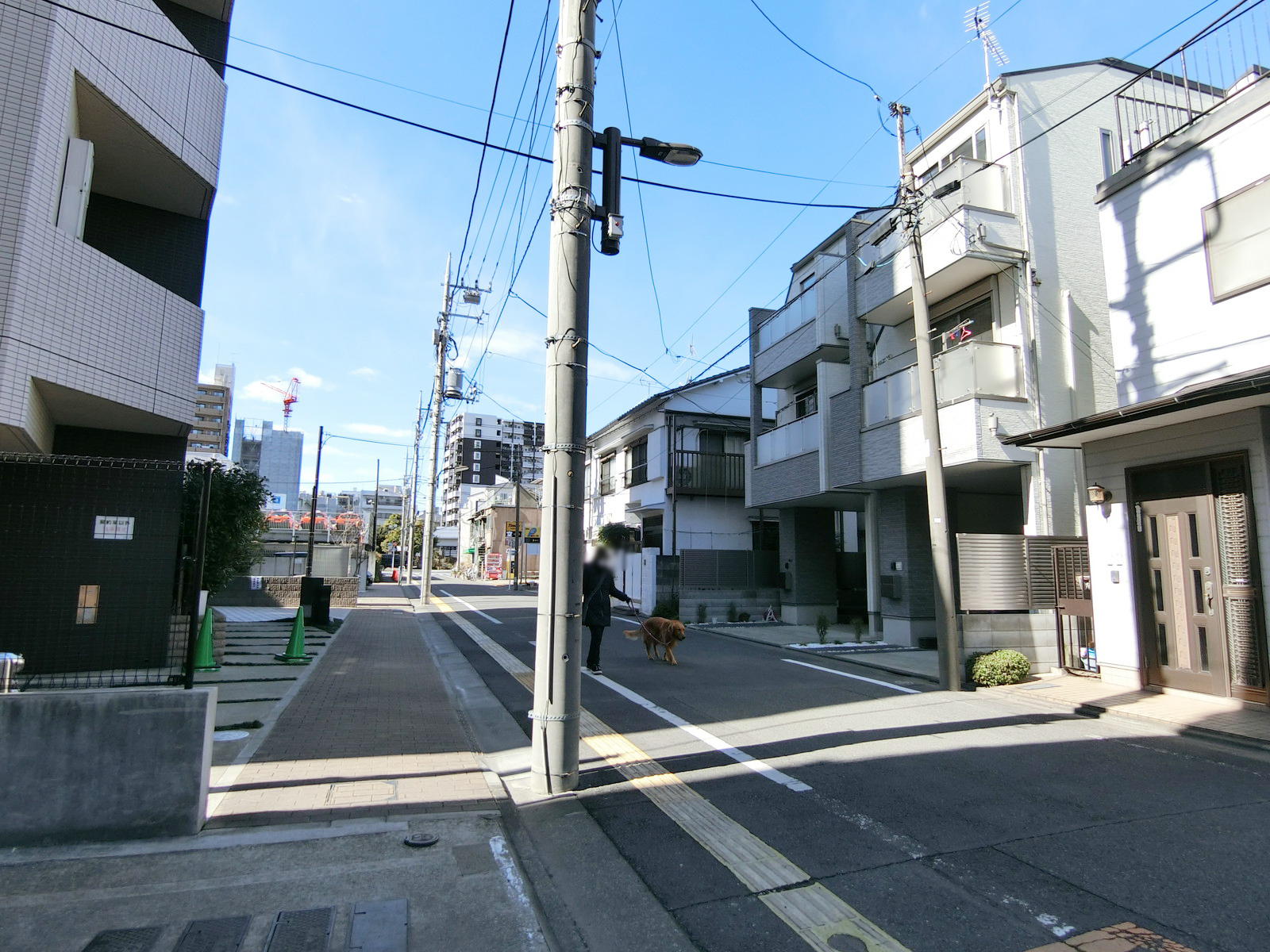アミューズ小林ビル前面の通り