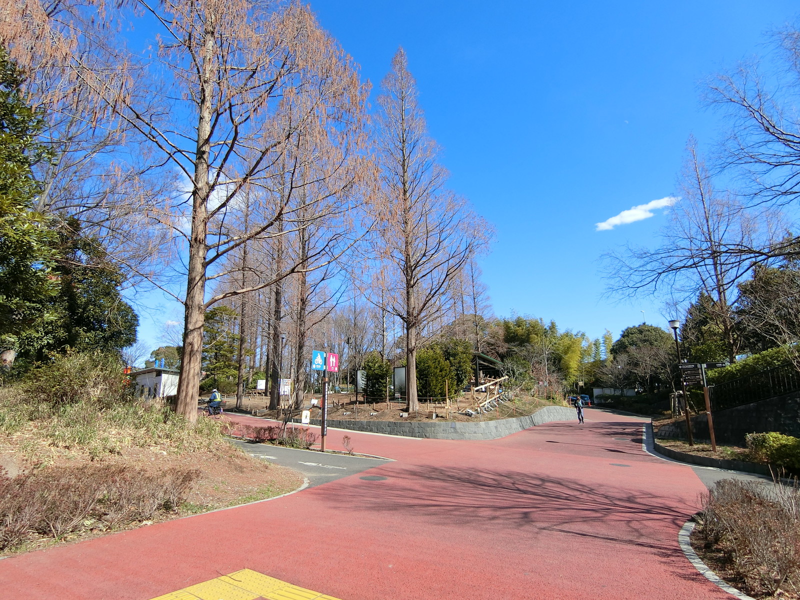 隣のしながわ区民公園