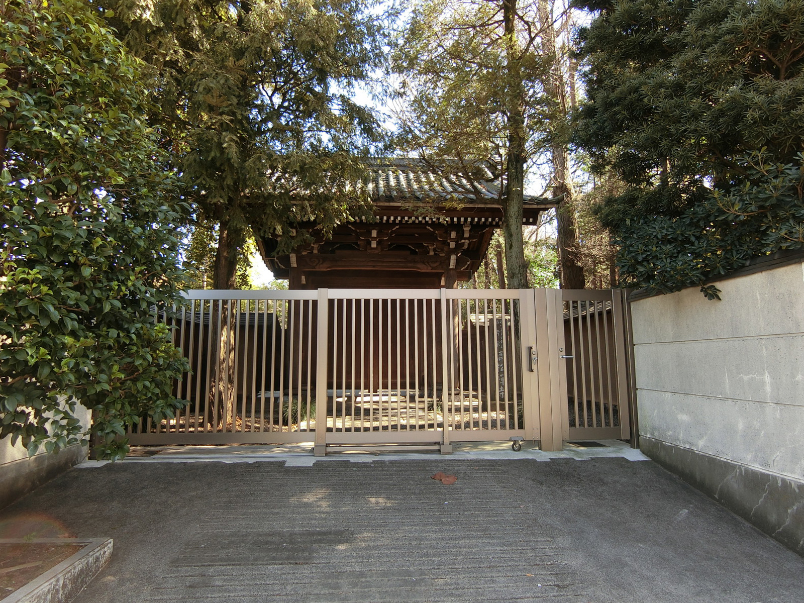 向かいにある済松寺
