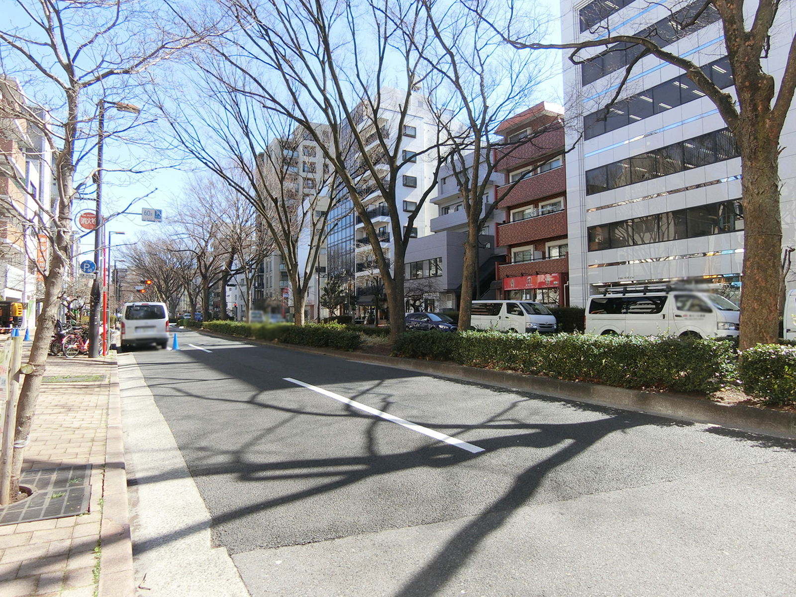 早稲田玉井ビル前面の早大通り