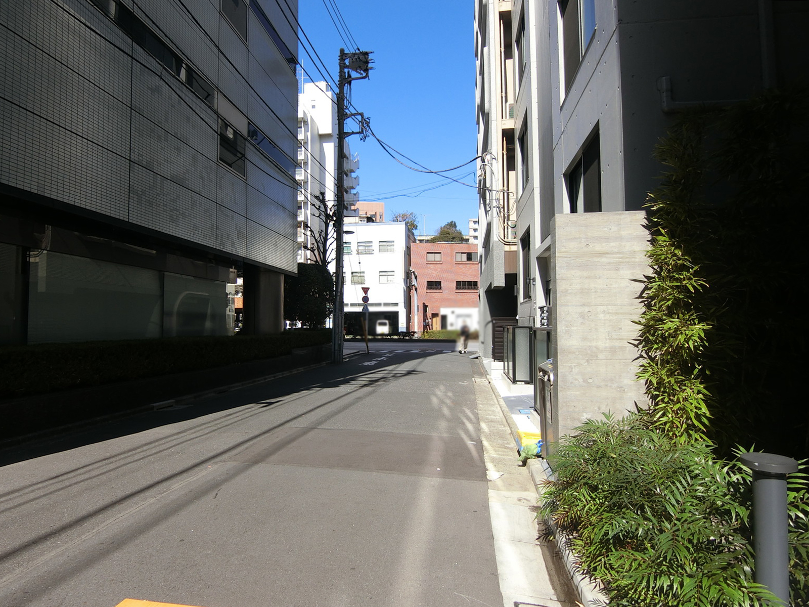 カーザビアンカ前面の通り