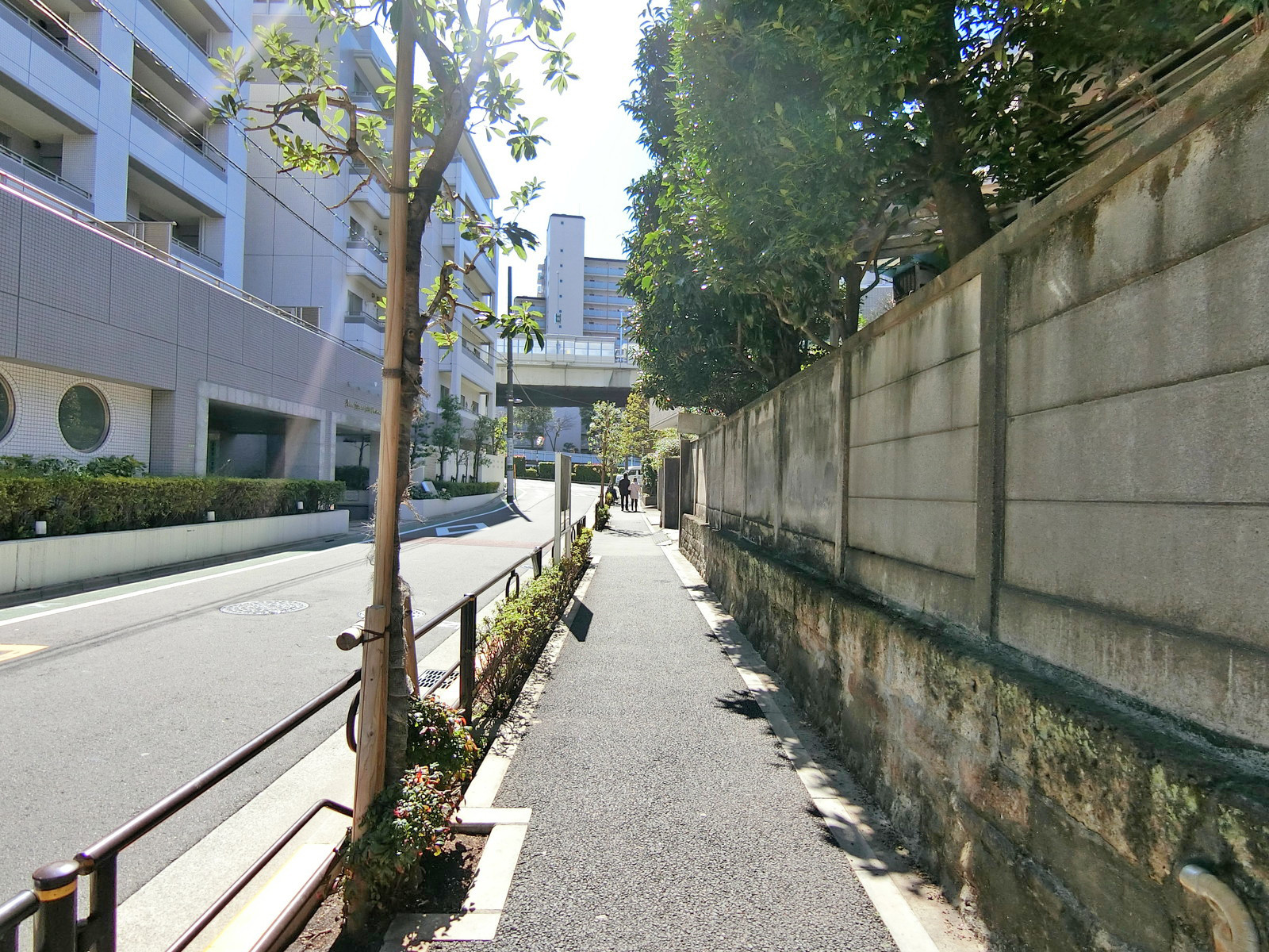 オフィス前面の通り