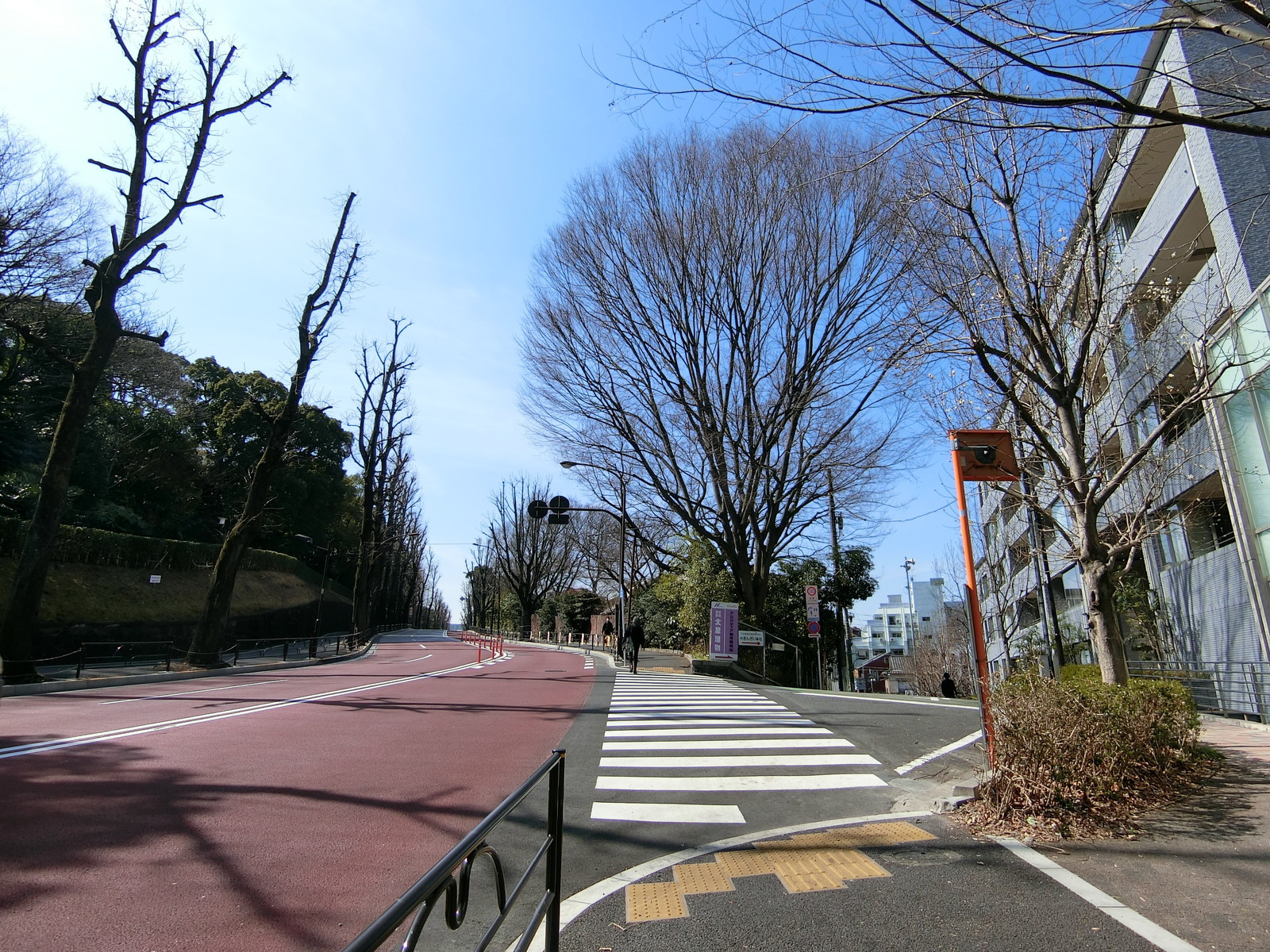 外苑オフィス前面の通り