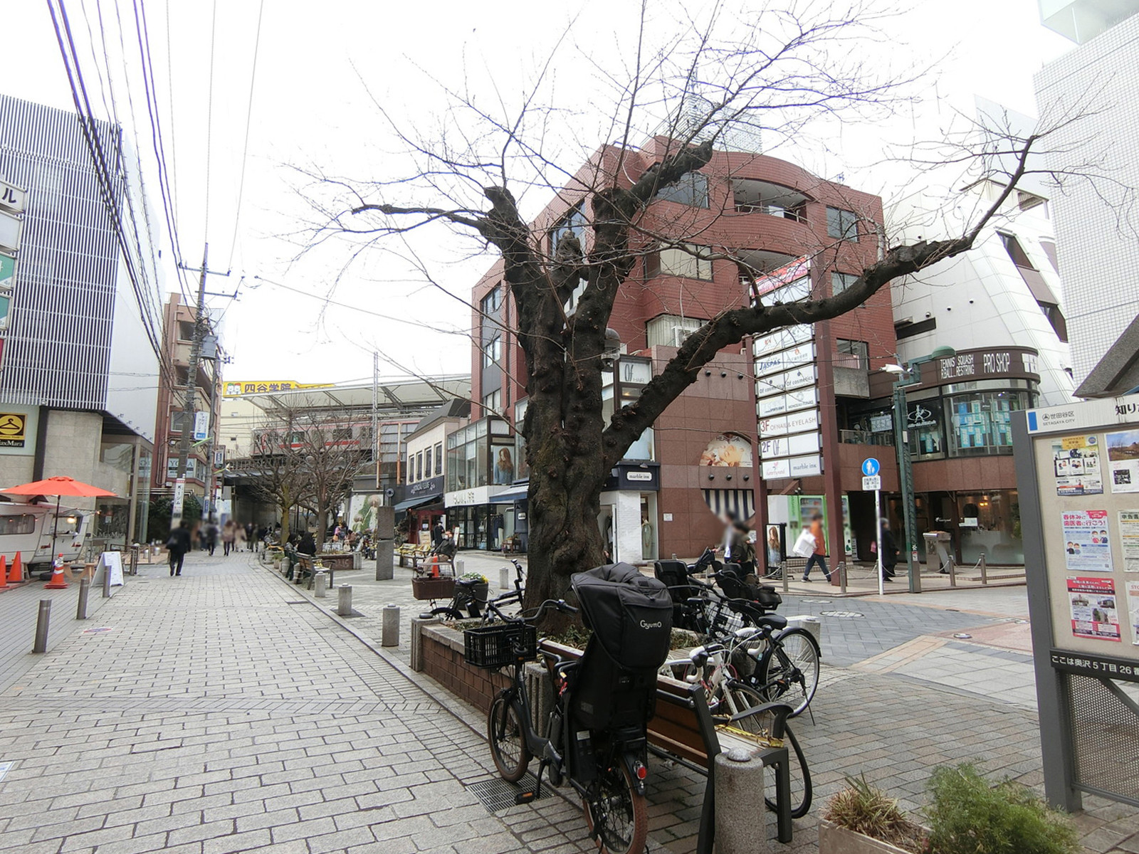 目の前の九品仏川緑道