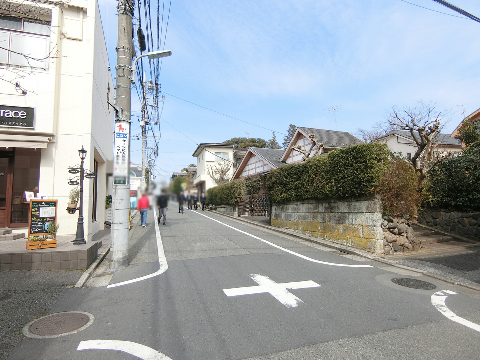 Le ciel bleuビル前面のカトレア通り