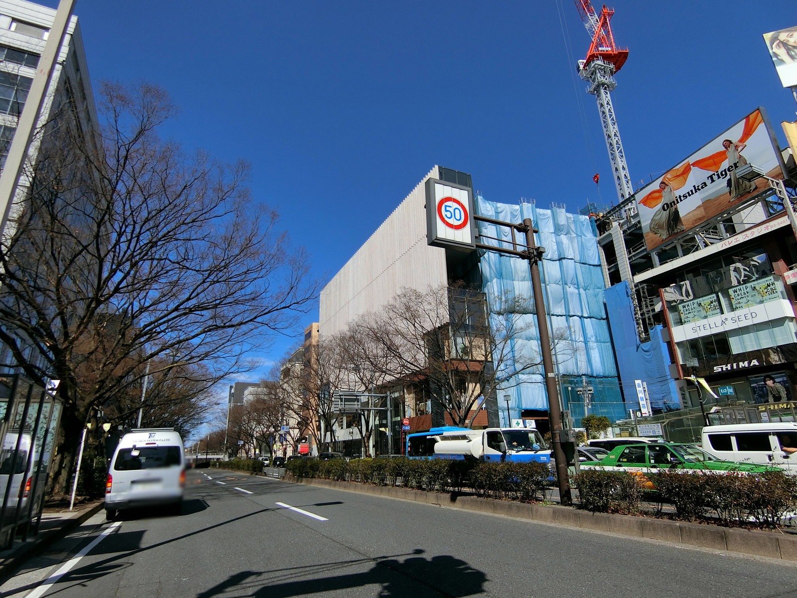 付近の表参道