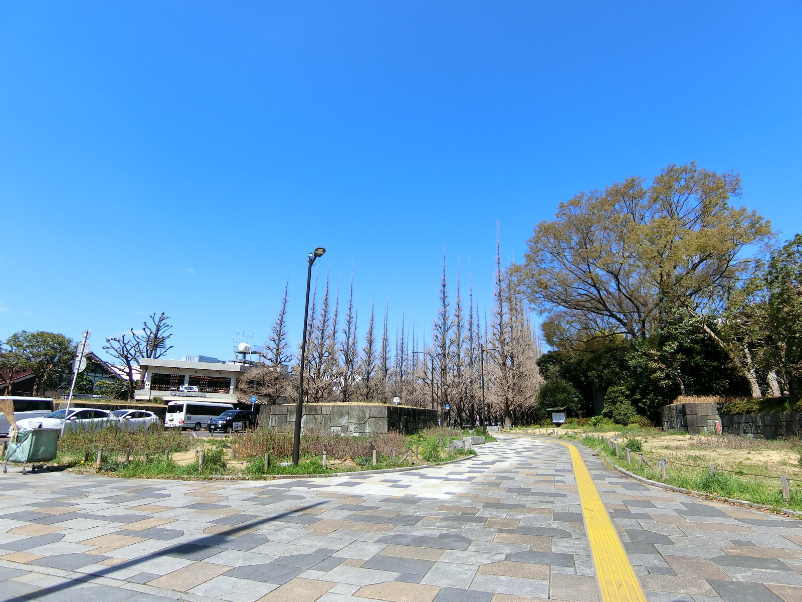 近くにある明治神宮外苑