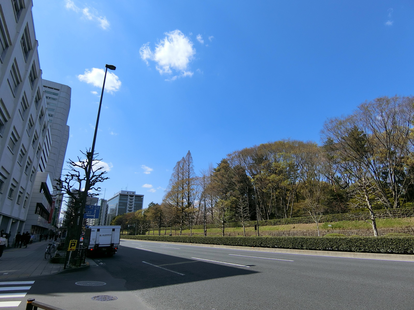 付近の青山通り