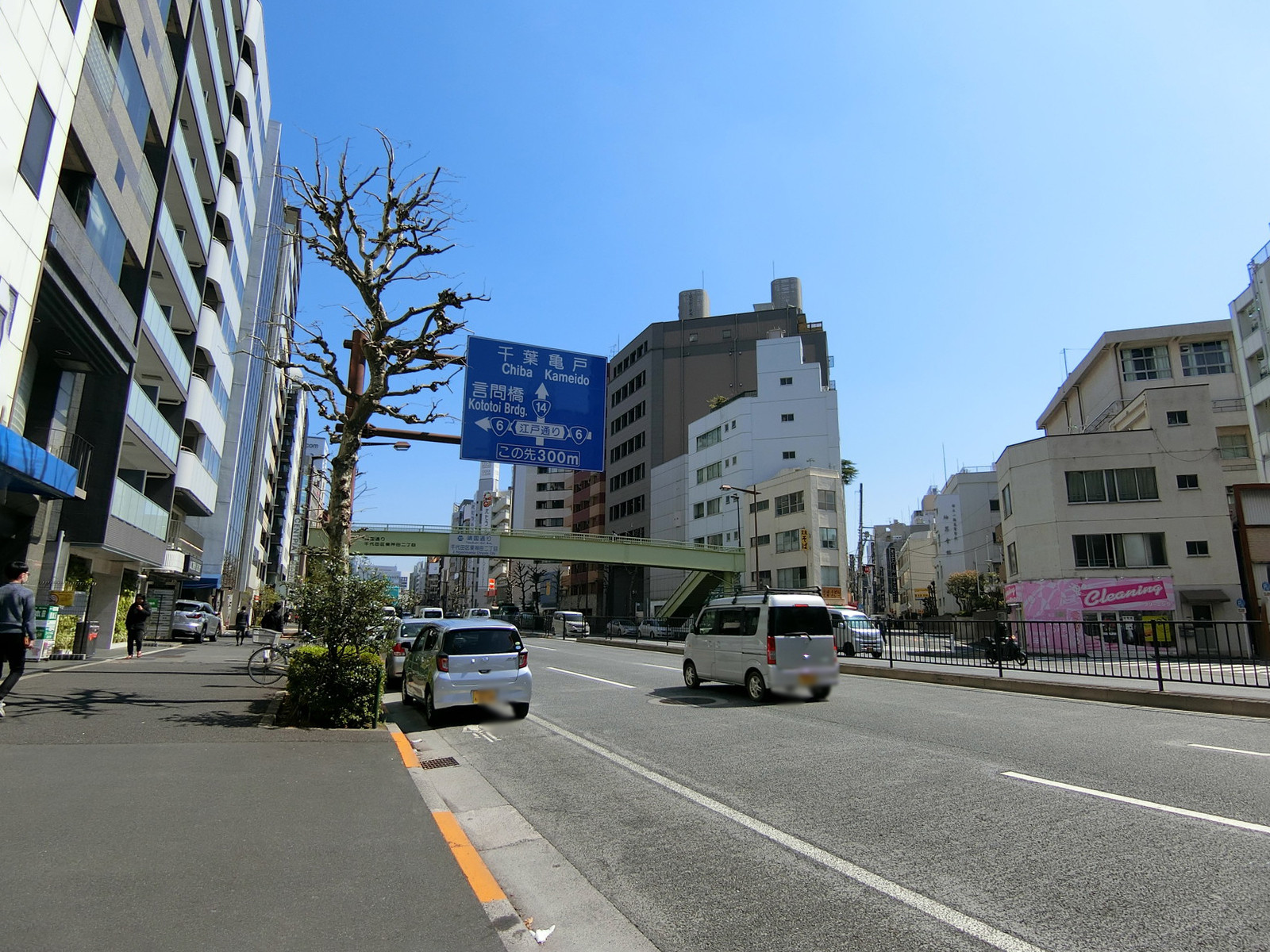 近くの靖国通り