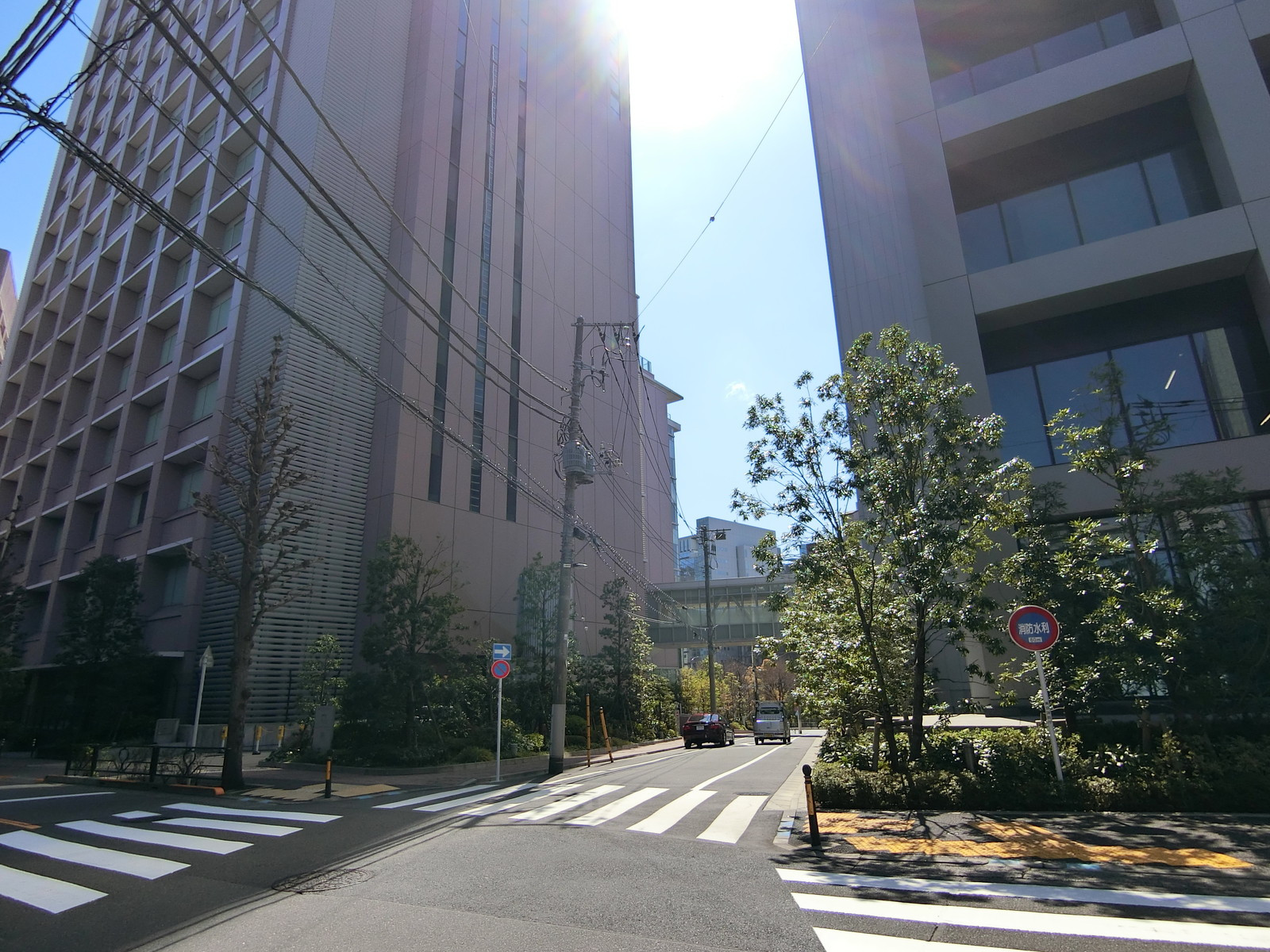 天野ビル前面の通り