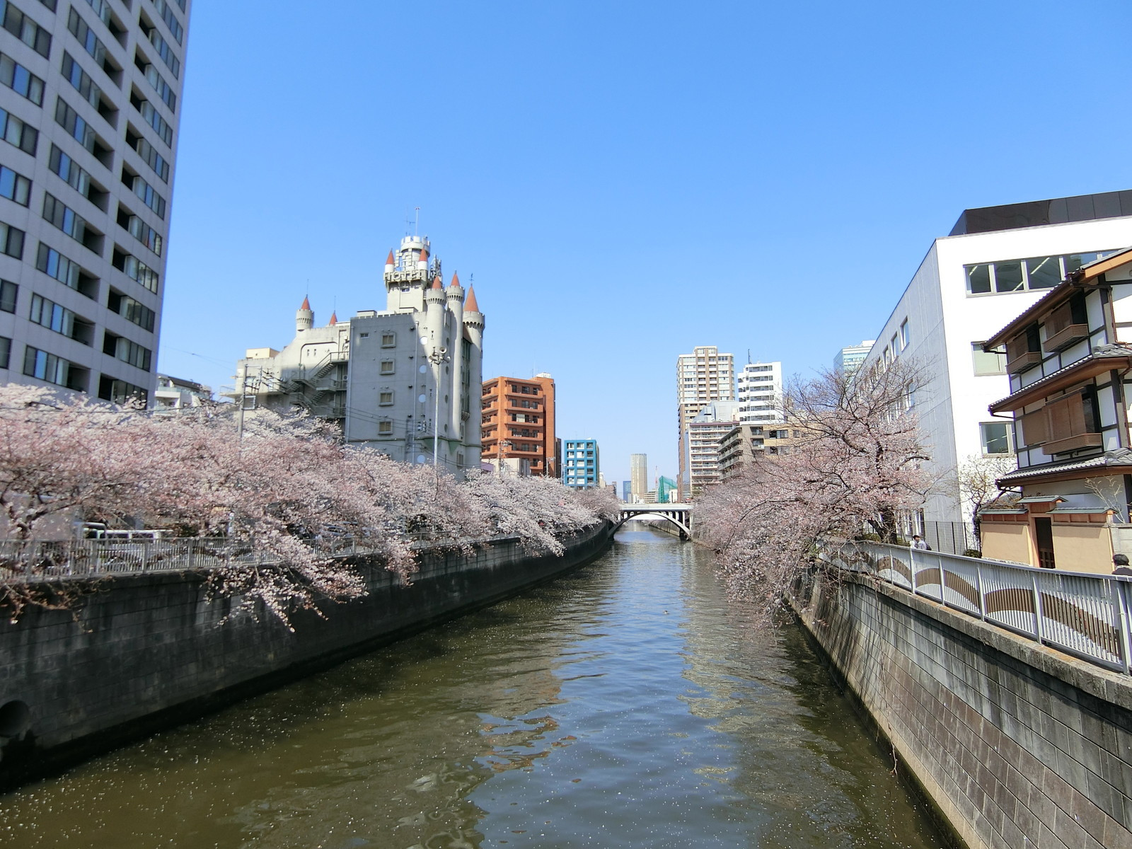 付近の目黒川