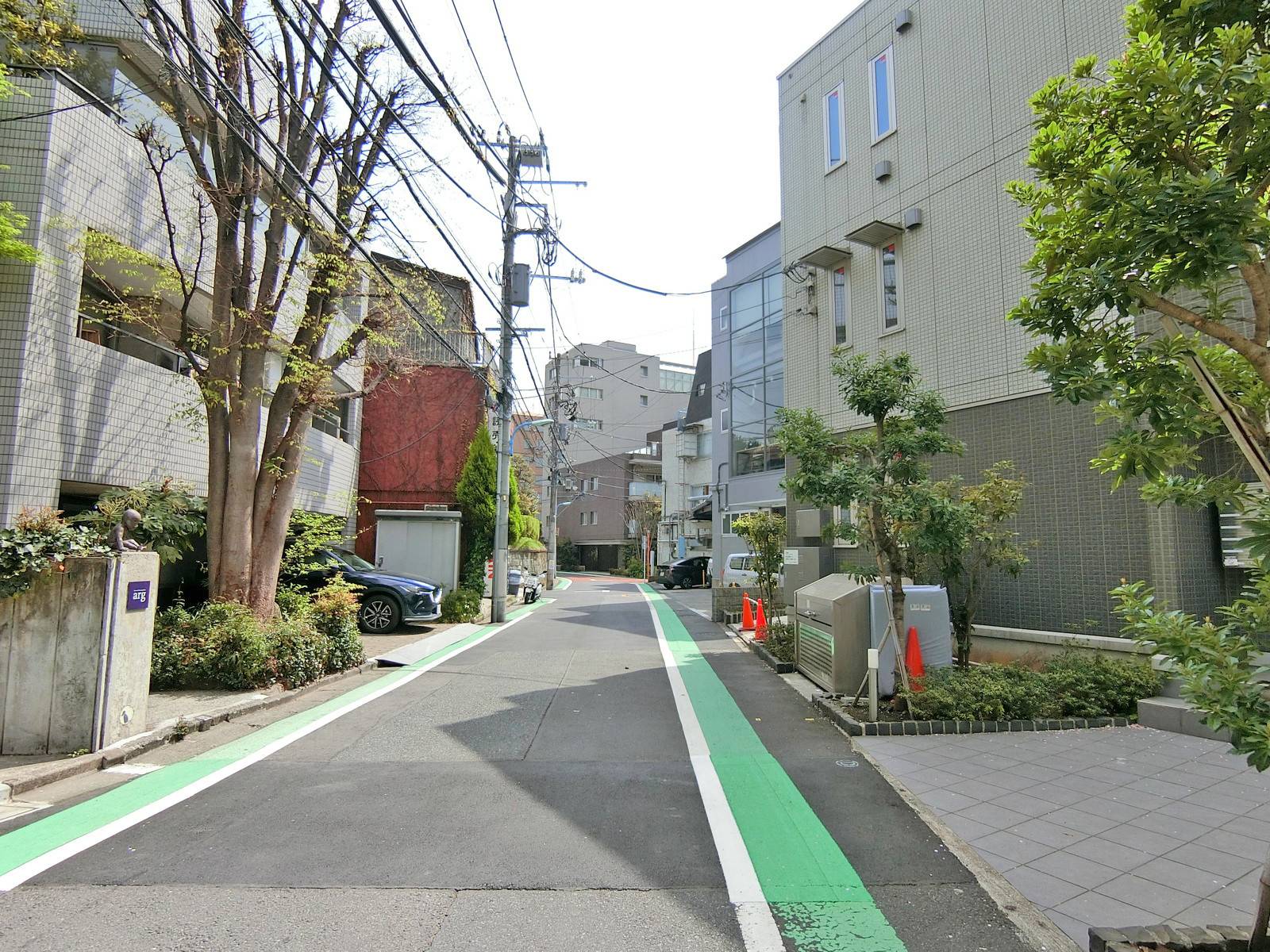 第二税経ビル前面の通り