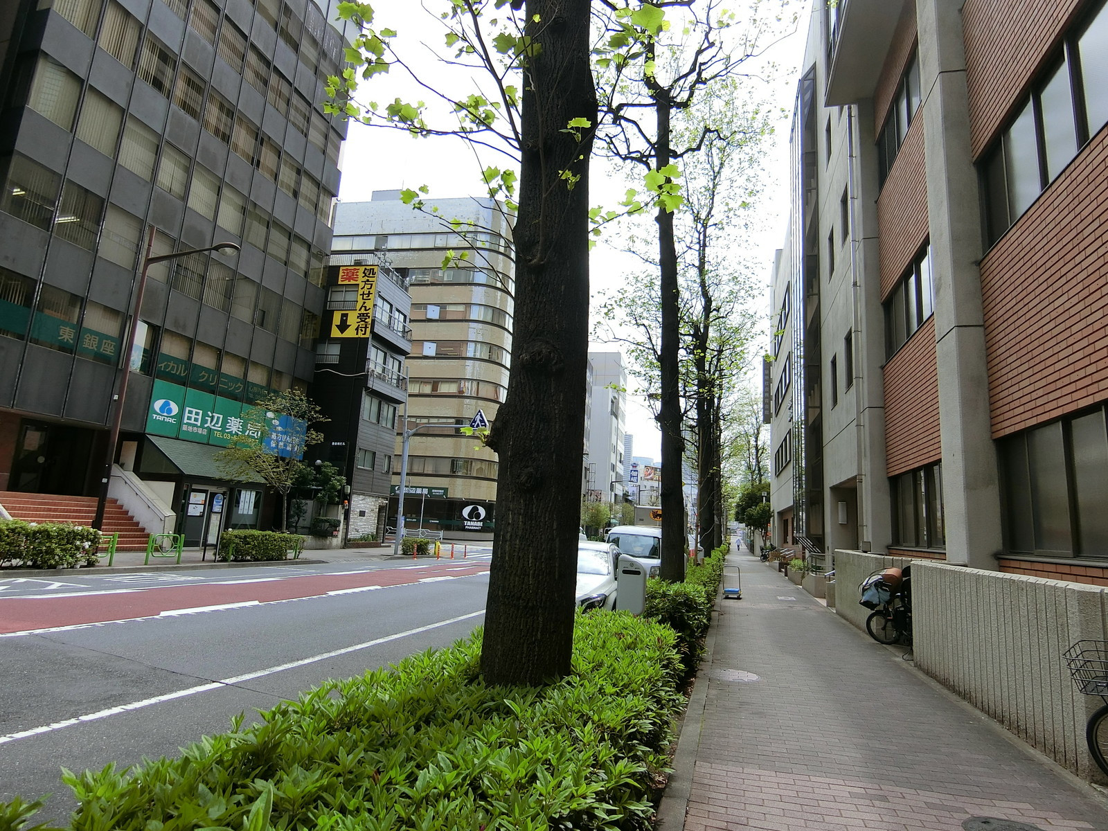 登喜和ビル前面の通り