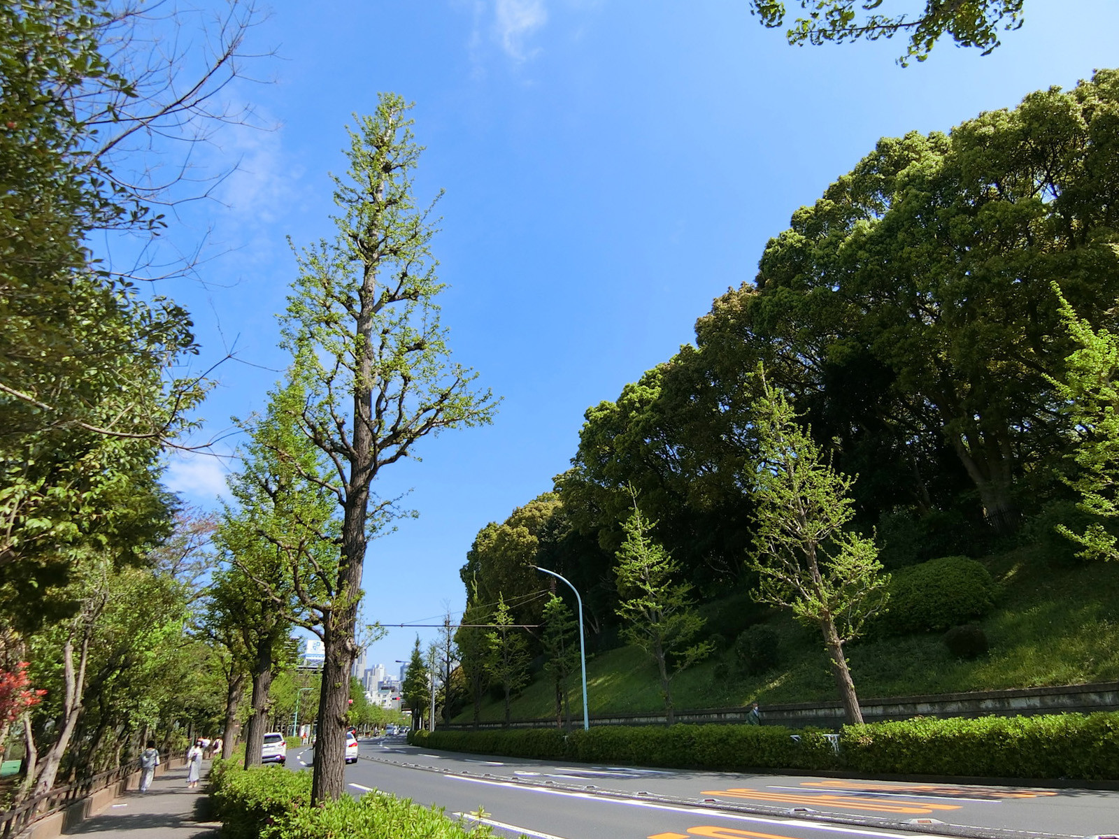 緑が豊かなエリアに立地