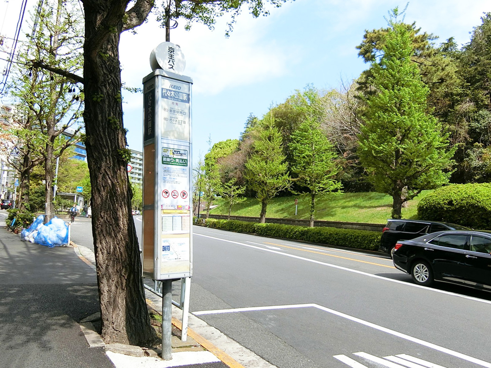 付近のバス停「代々木公園駅」