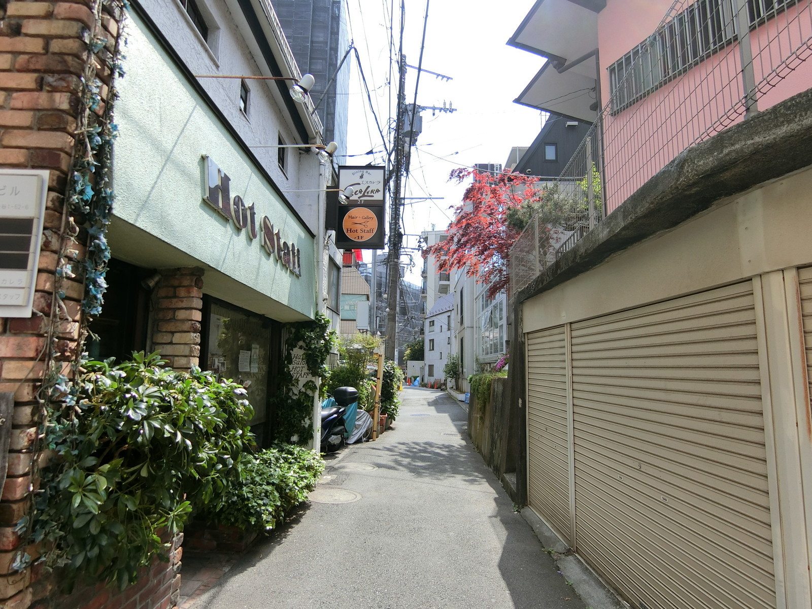 落ち着いた雰囲気のエリアに立地