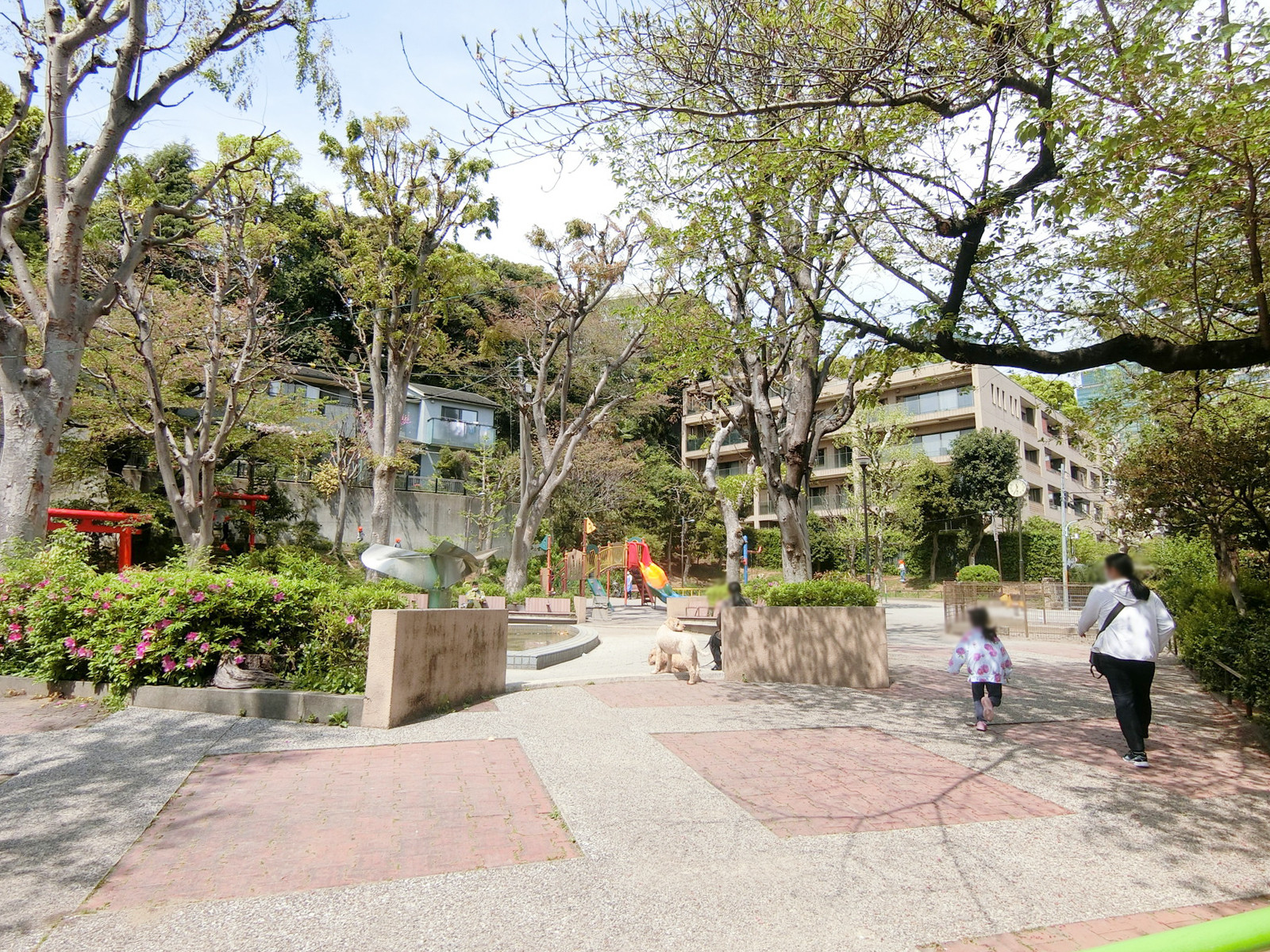 近くの狸穴公園