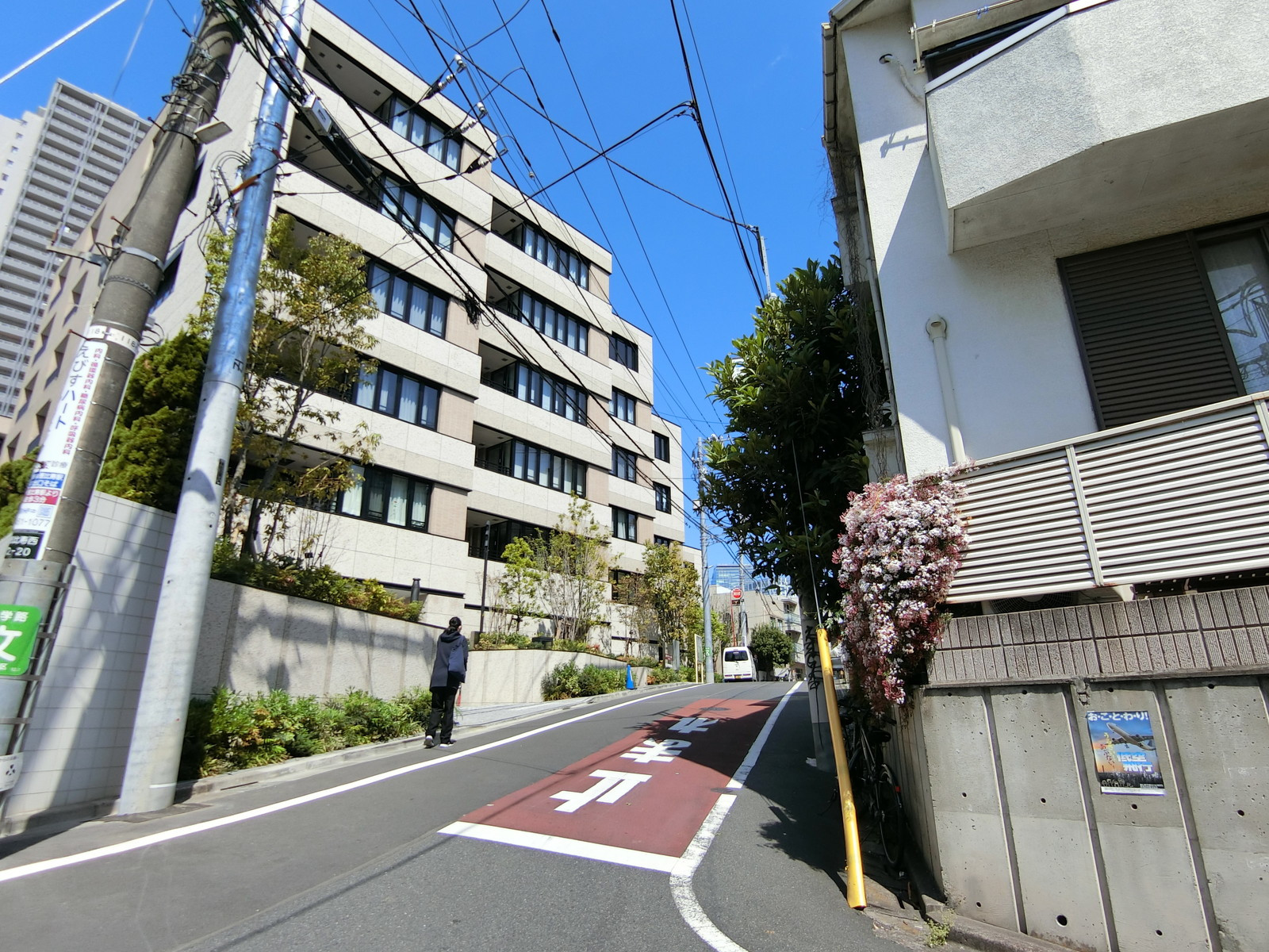 代官山イルテンポ前面の通り