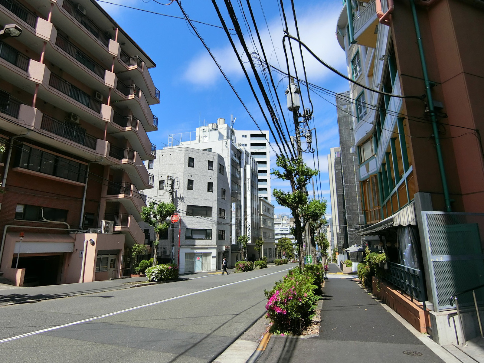 周辺は落ち着いた雰囲気のエリア