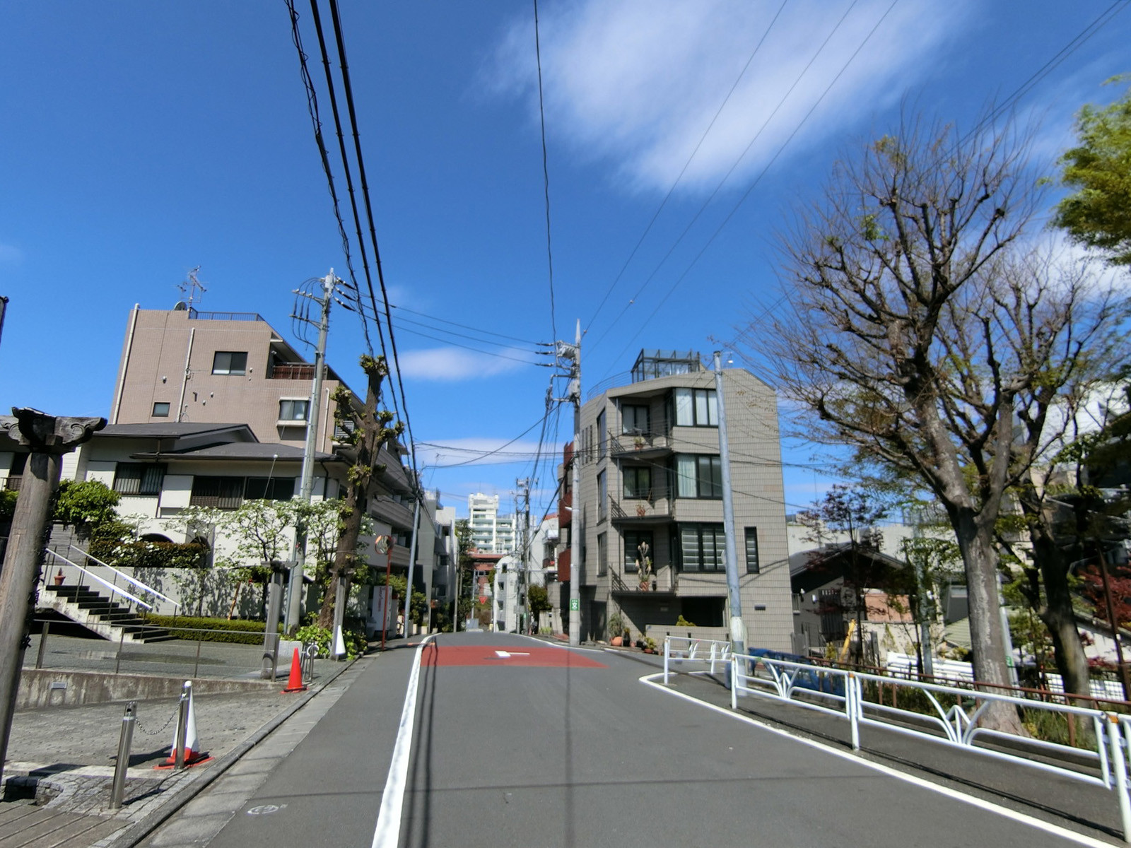 せらびEBISU前面の通り