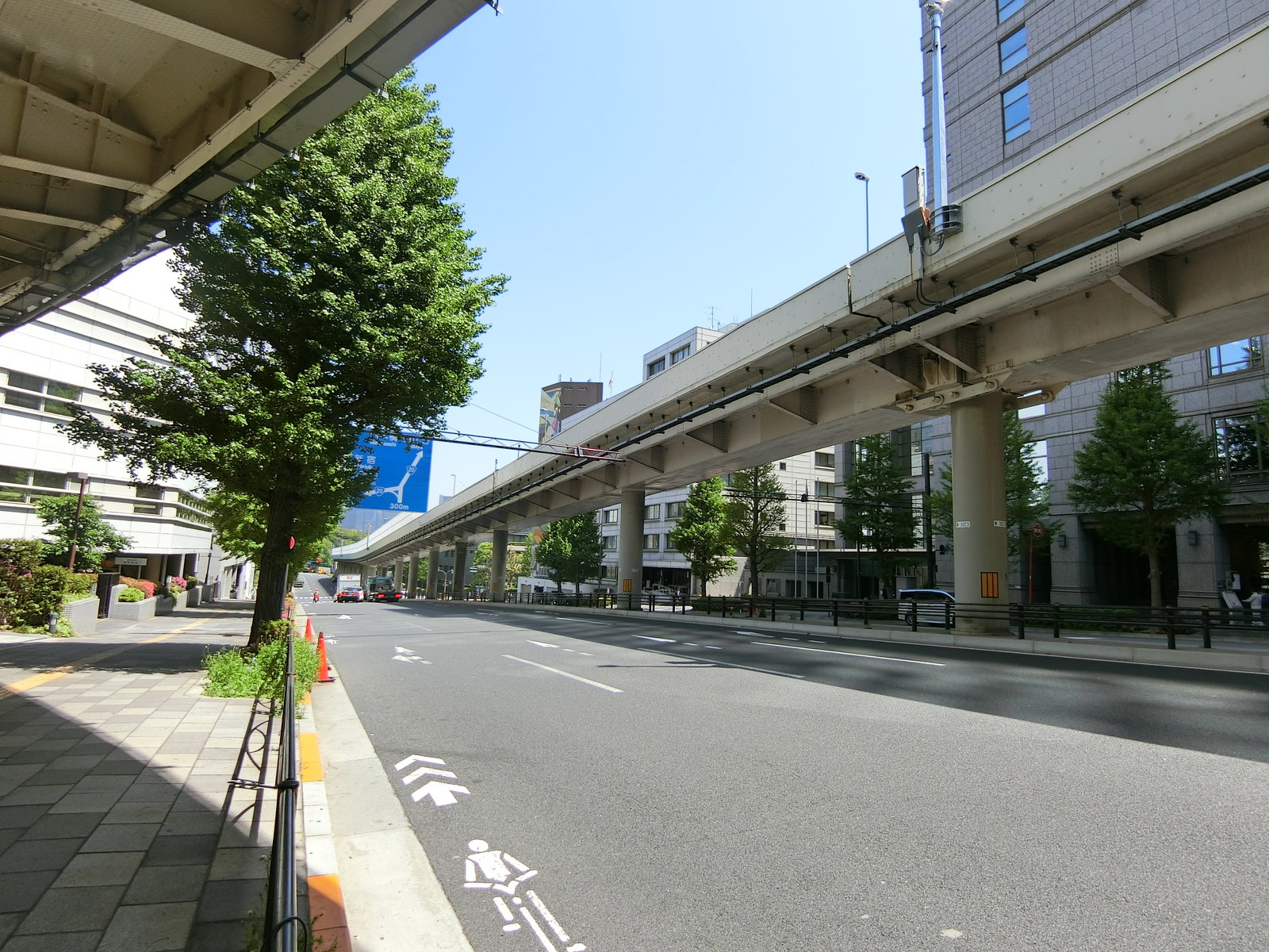 近くの青山通り